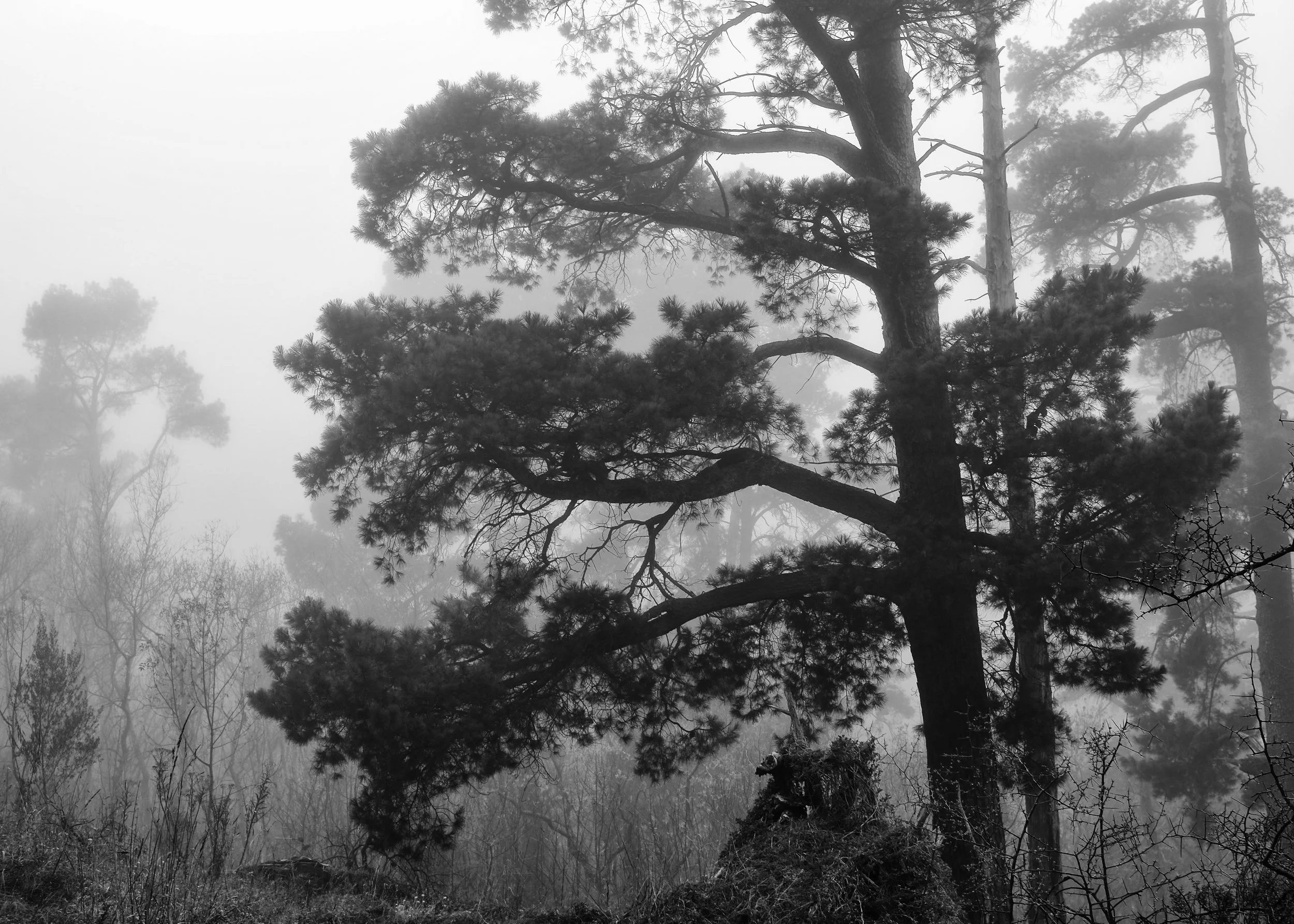 The Neuroscience of Autonomy: How to Unplug from External Validation