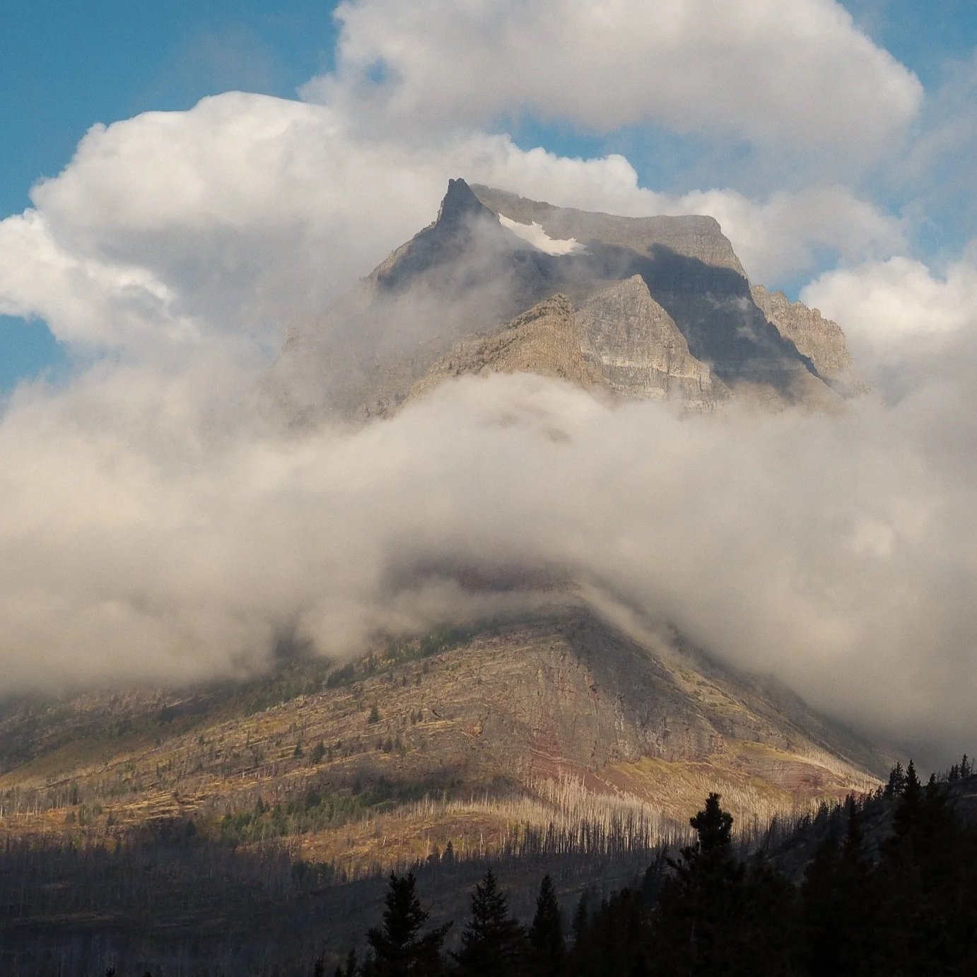 The peak of Going-to-the-Sun Mountain surrounded by clouds and mist, with a forested hillside in the foreground.