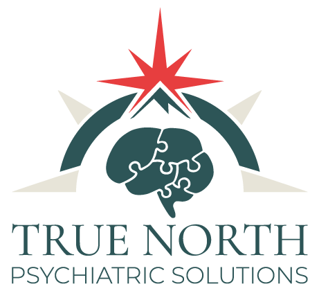 True North Logo with a half compass shape above the name. The north point is created from a north star combined with a mountain and the center is filled with an illustration of a brain made of puzzle pieces