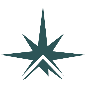 A north star icon combined with a mountain on the bottom half. This makes up the north point of the True North compass.