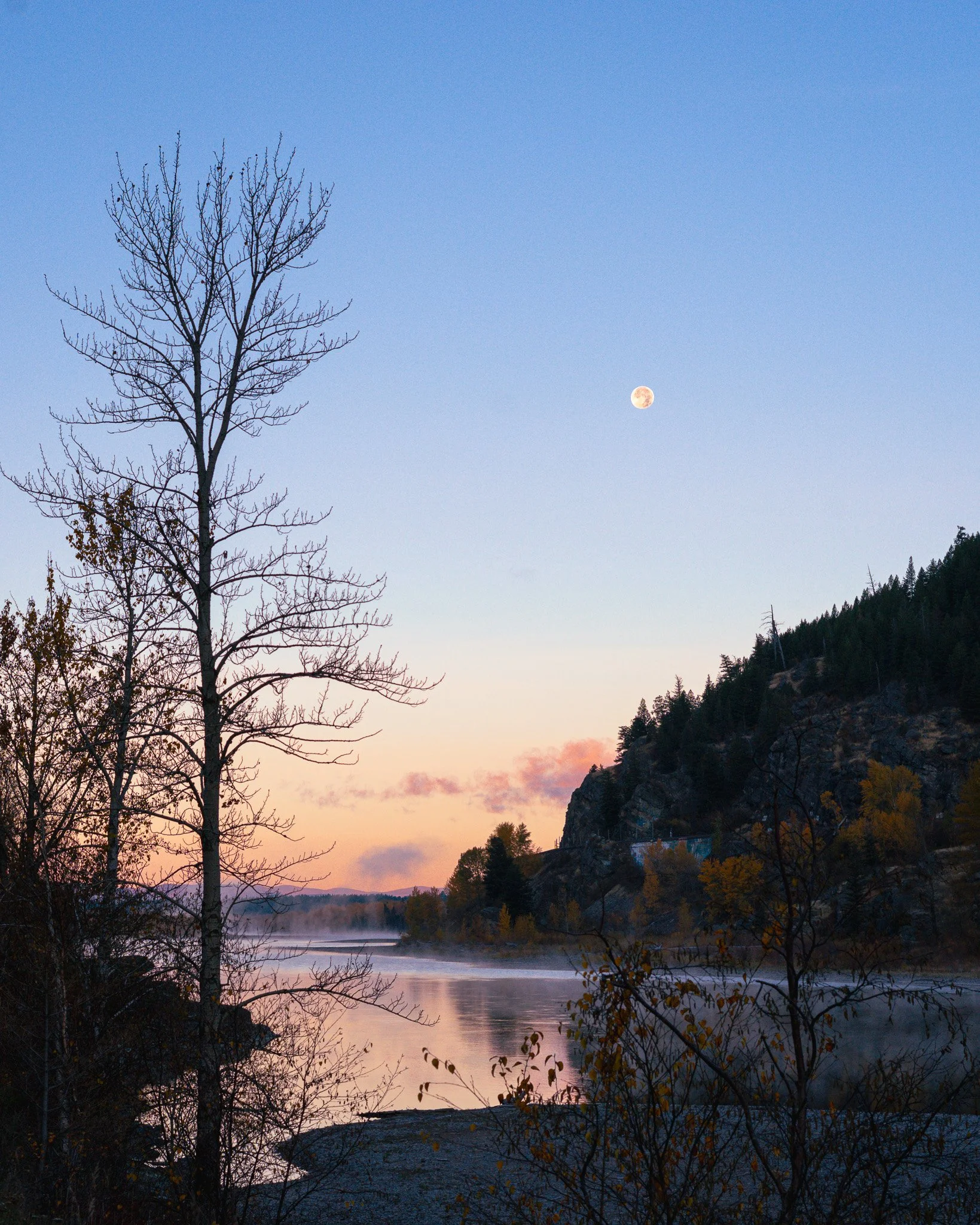 The western sky lighting up at sunrise above the Flathead River with trees along the shoreline of Flathead River, with a mountain on the right, and the moon in the sky.