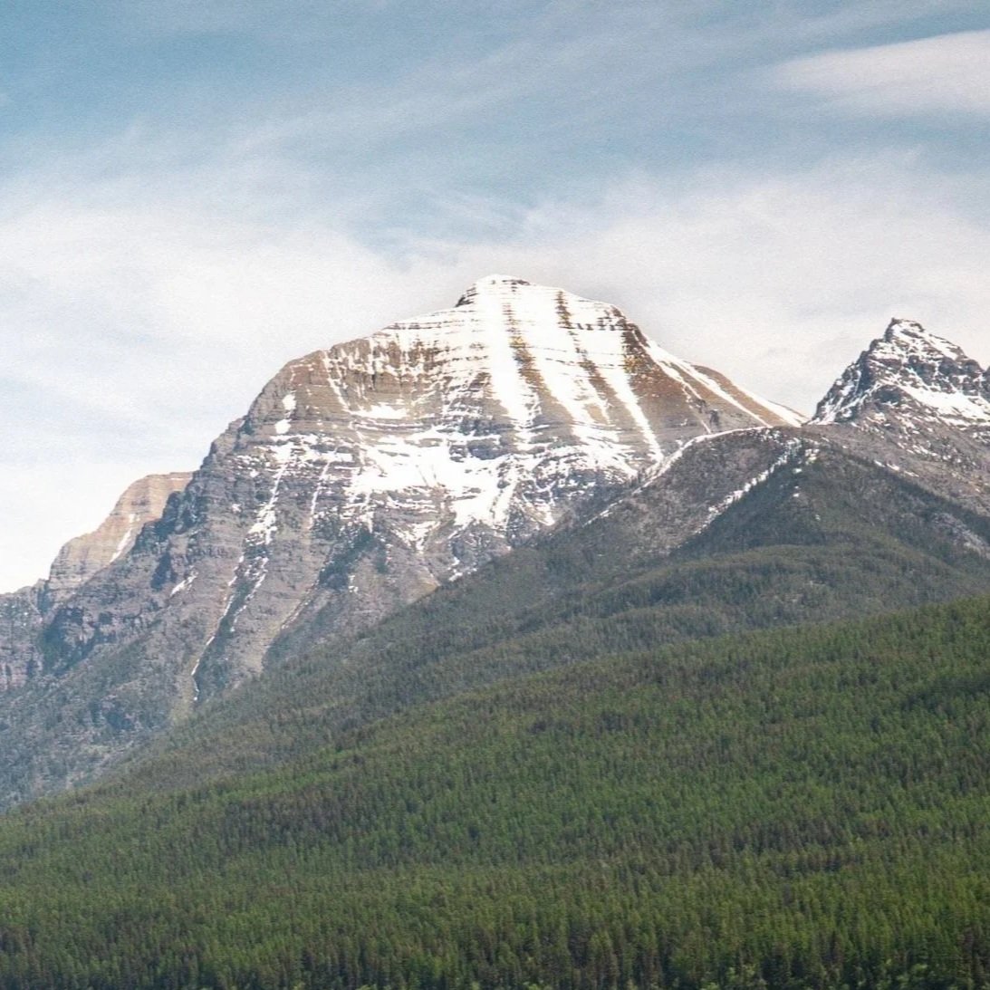 Majestic snow-capped mountain peak rising above a densely forested landscape along the shore of Bowman Lake.