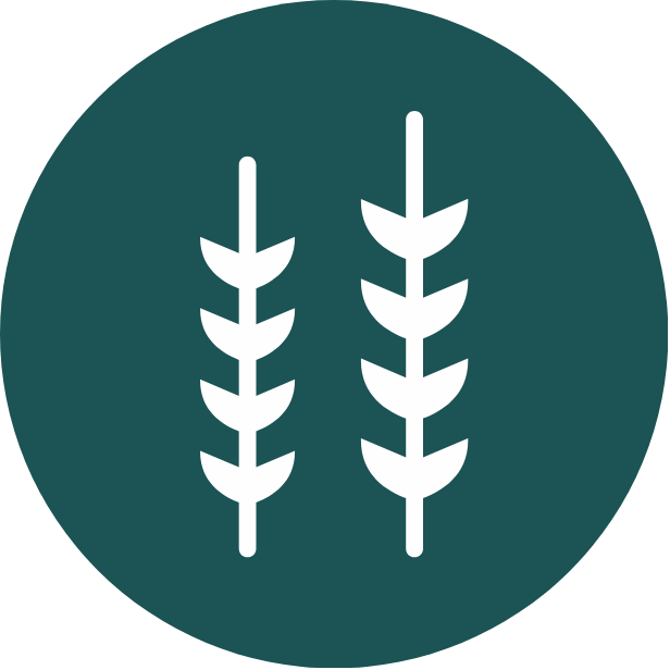 Icon of two wheat stalks, one smaller and one larger, on a dark teal circular background.