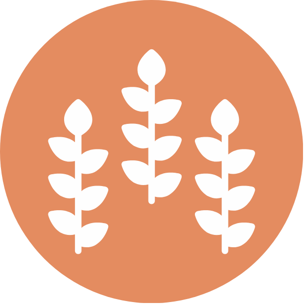Stylized white plant icons on a circular peach background.