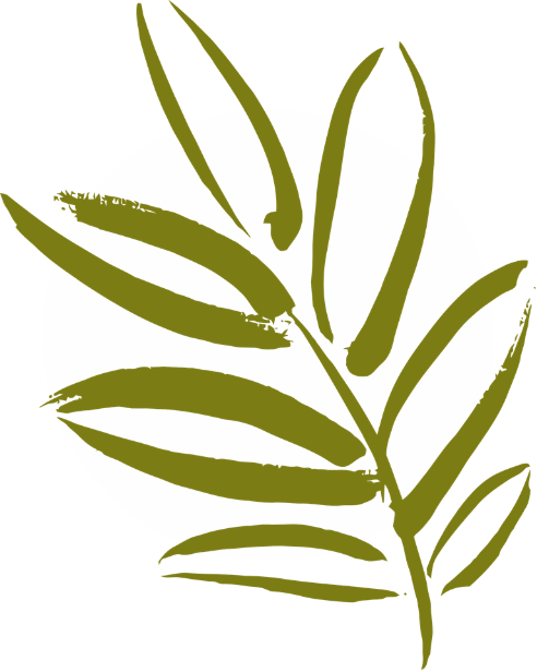 Illustration of a green tropical leaf in front of a white circle on a black background