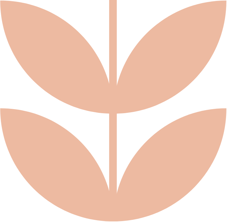 Minimalist illustration of a plant or leaf with two symmetrical halves, in light peach color.
