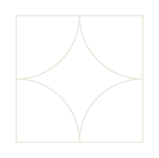 An abstract outline icon with a starburst contained within a circle shape.