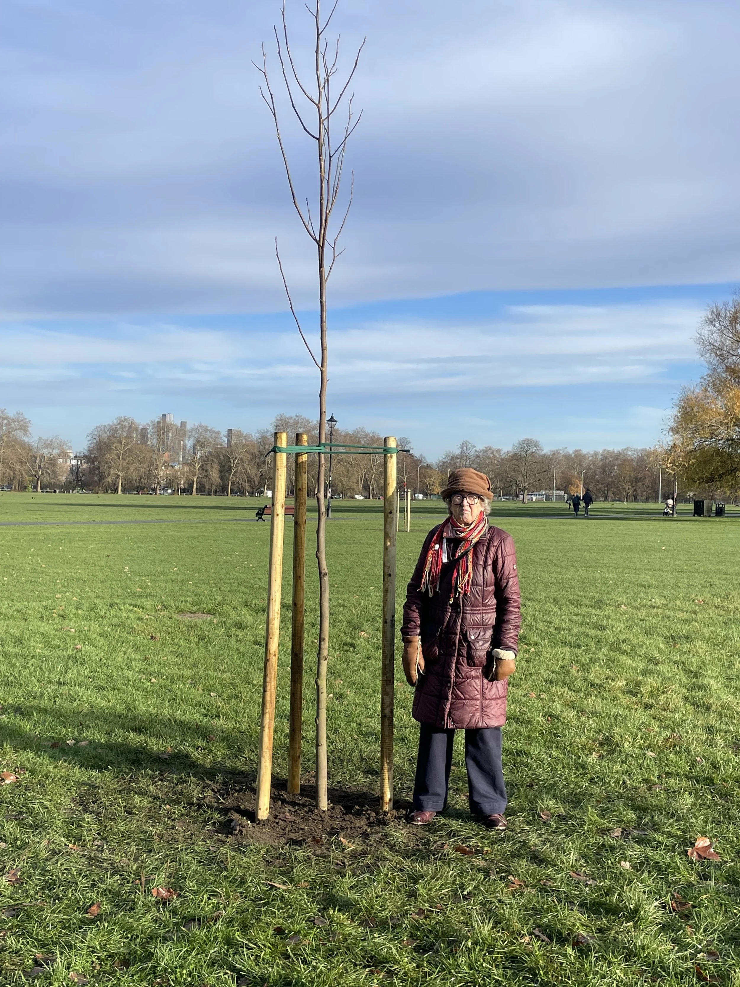 A Tree for Bob Robinson