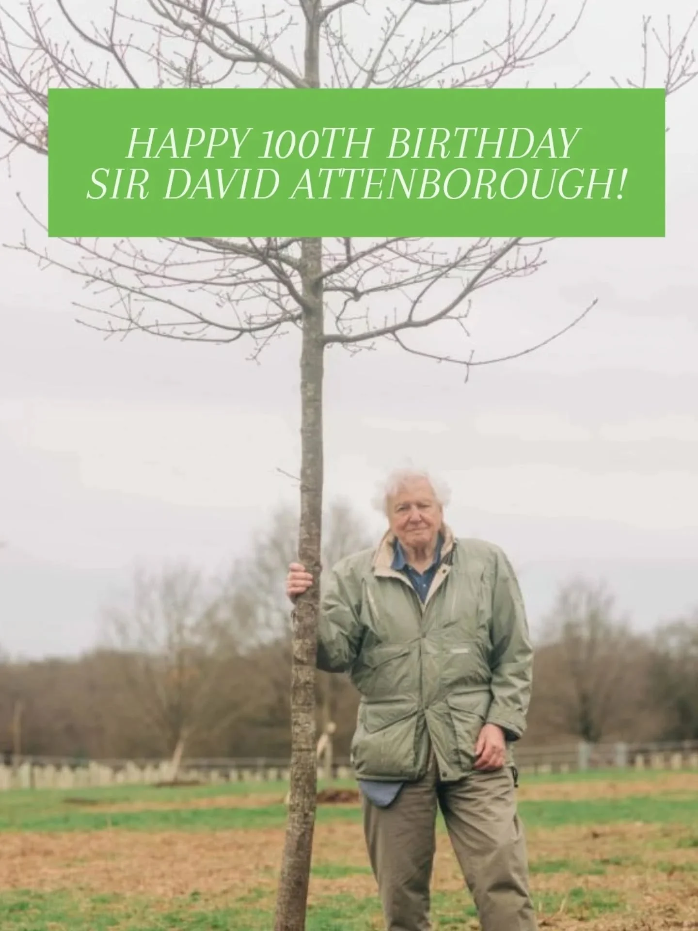 HAPPY 100th BIRTHDAY TO THE LEGENDARY SIR DAVID ATTENBOROUGH! 🌳