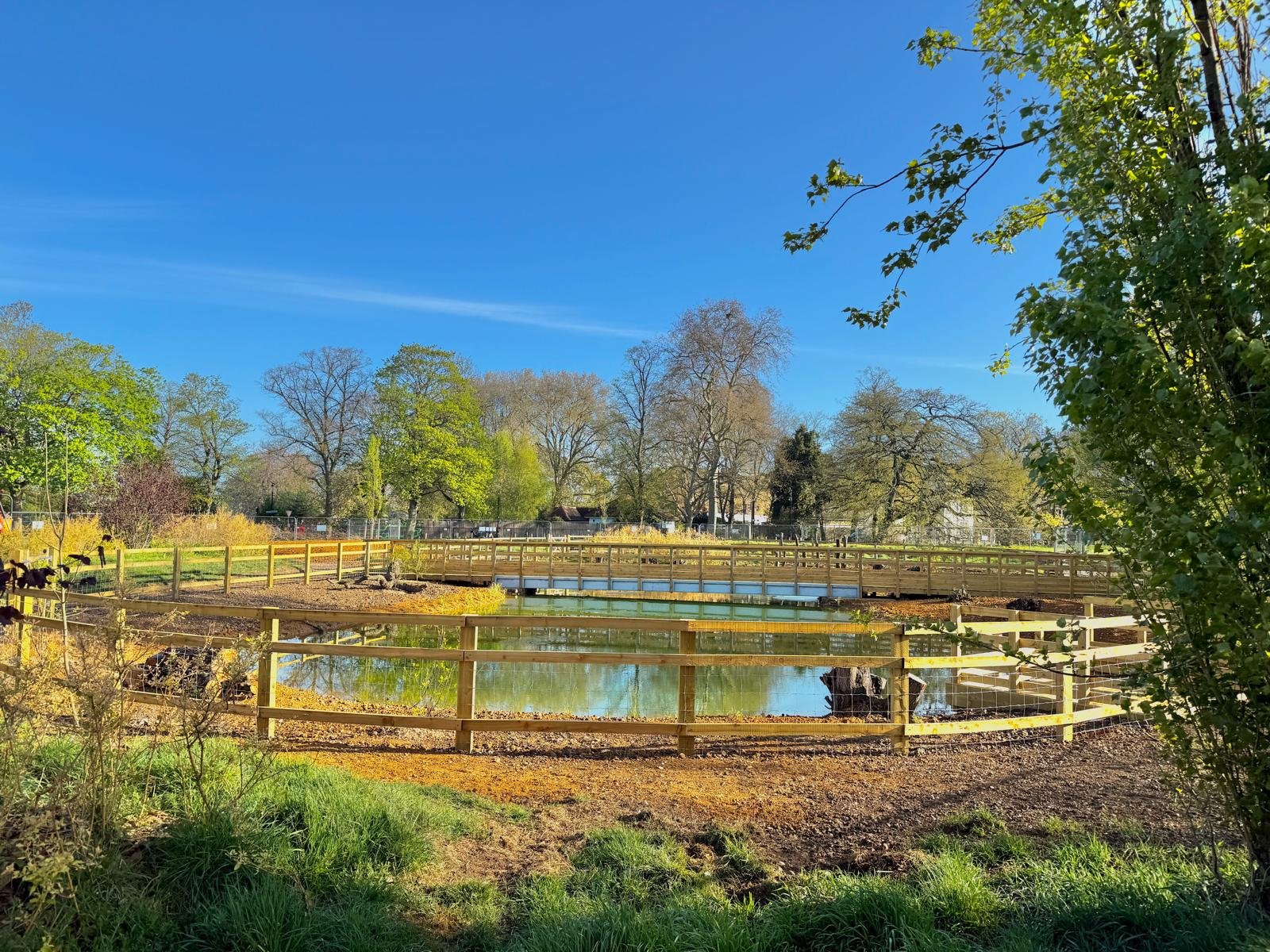 A fenced area with a small pond in the center, surrounded by trees with green and yellow leaves, under a clear blue sky.