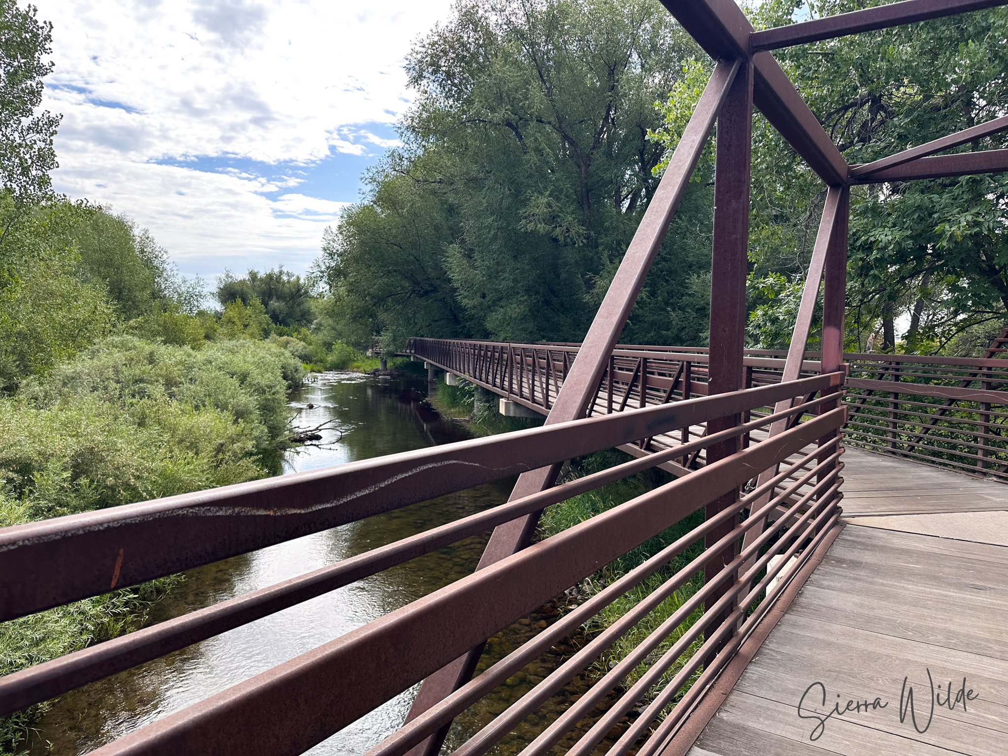 Lions Open Space to Butterfly Woods | LaPorte, CO