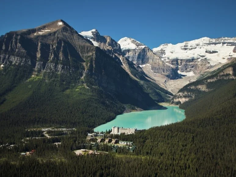 CLL-HOME-GALLERY-IMAGE-4-773x580-1 (1).jpeg