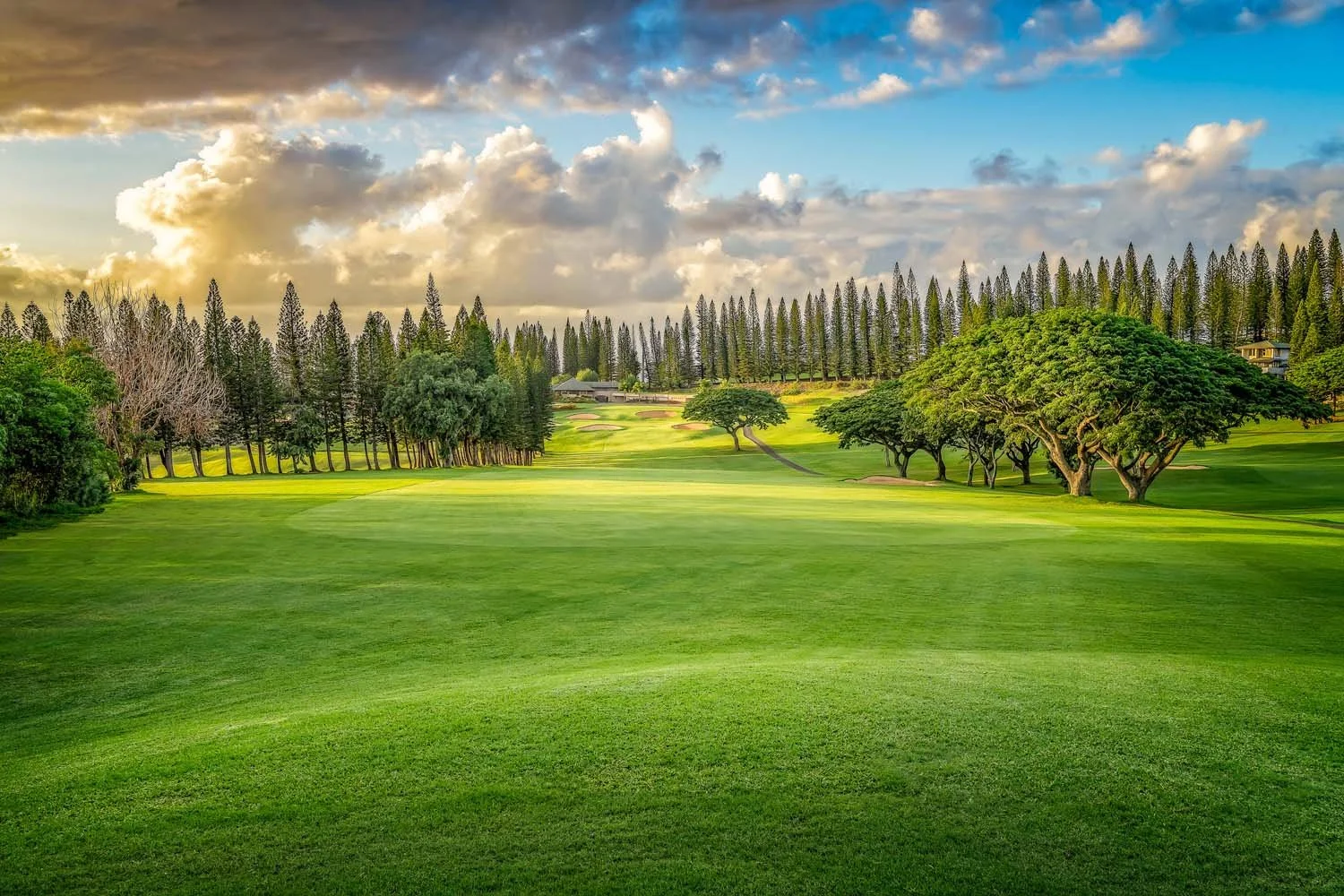 kapalua-bay-course-12.jpg