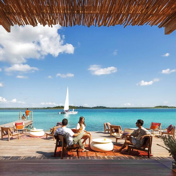 Sun-Seekers-600x600.jpg