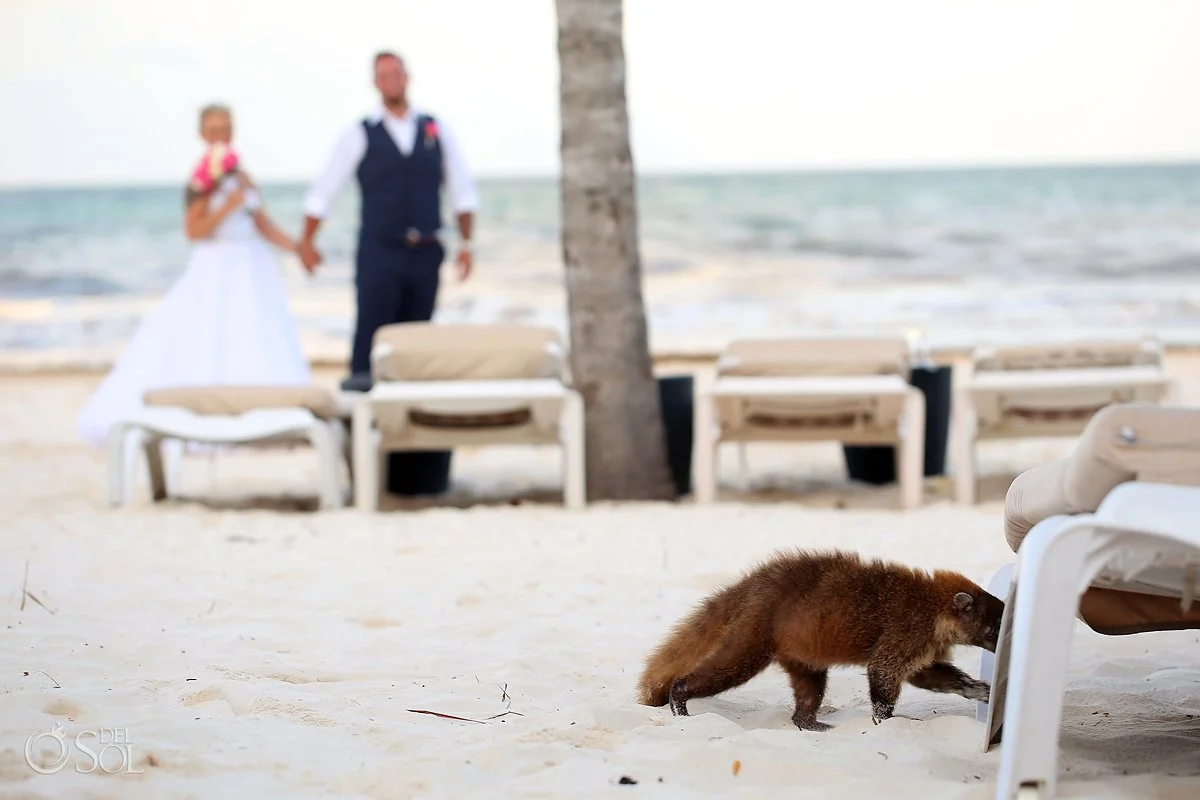 secrets-maroma-beach-wedding-god-had-it-all-planned_BT_0103.jpg