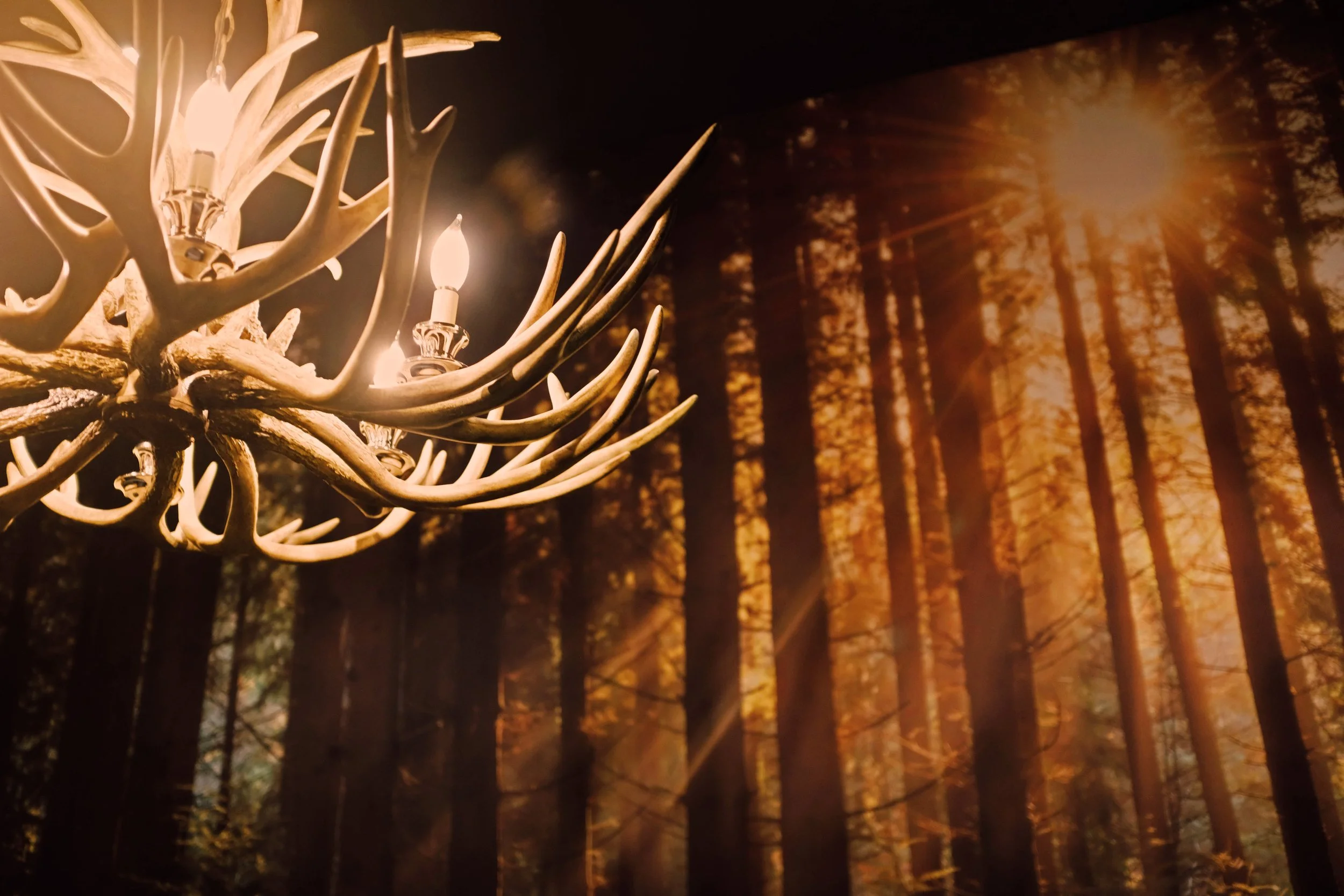 Mo’s_House_of_Axe_Koreatown_antler-chandelier.jpg