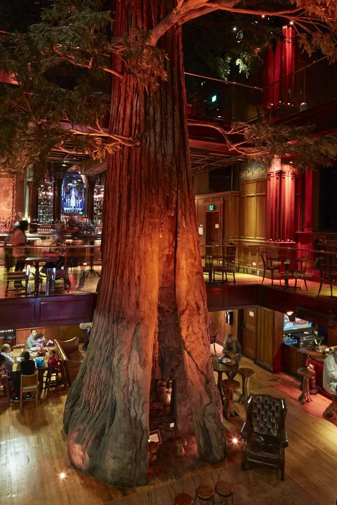 Cliftons-Cafeteria_DTLA_interior-tree.jpg