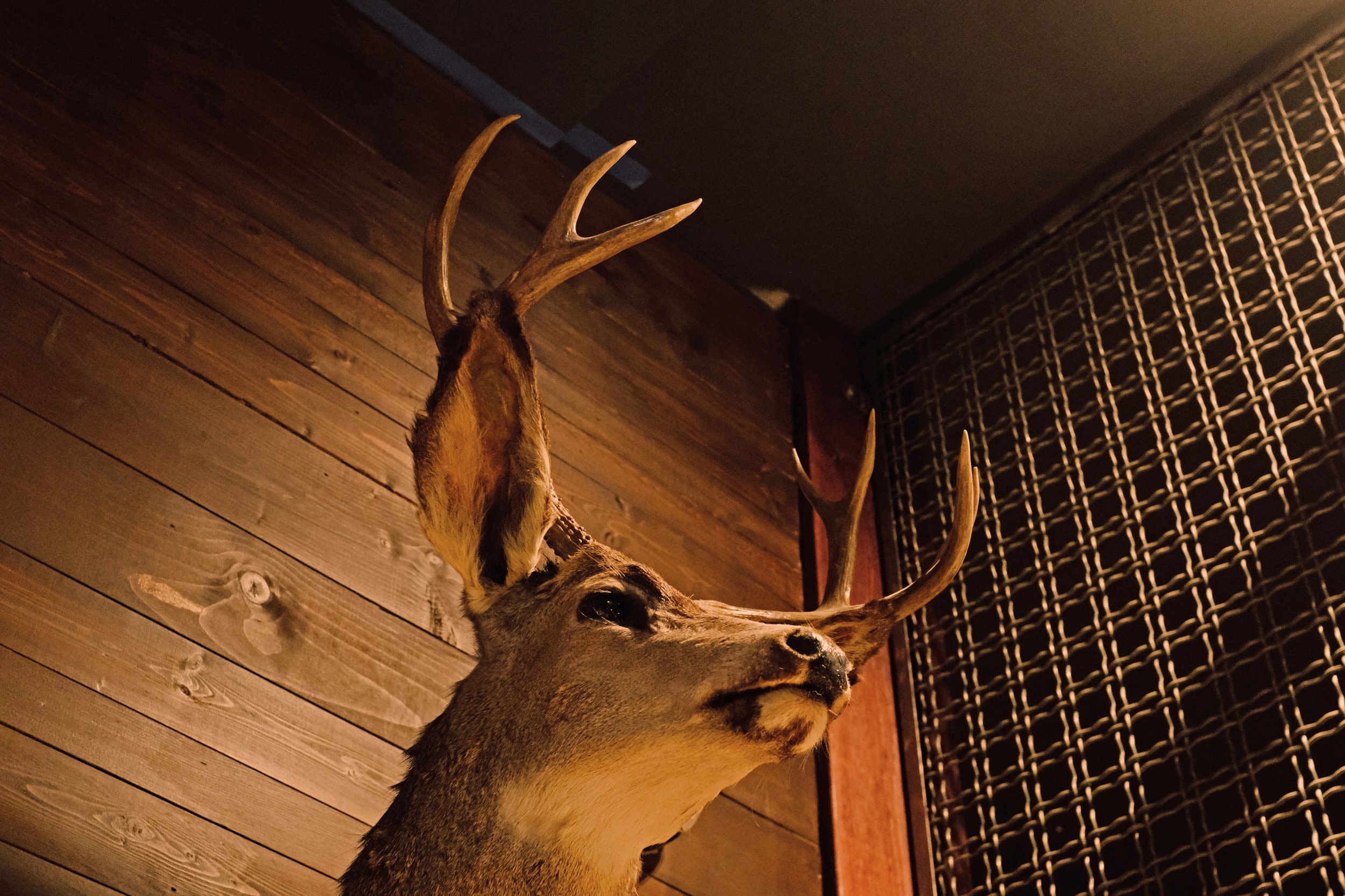 Mo’s_House_of_Axe_Koreatown_deer.jpg
