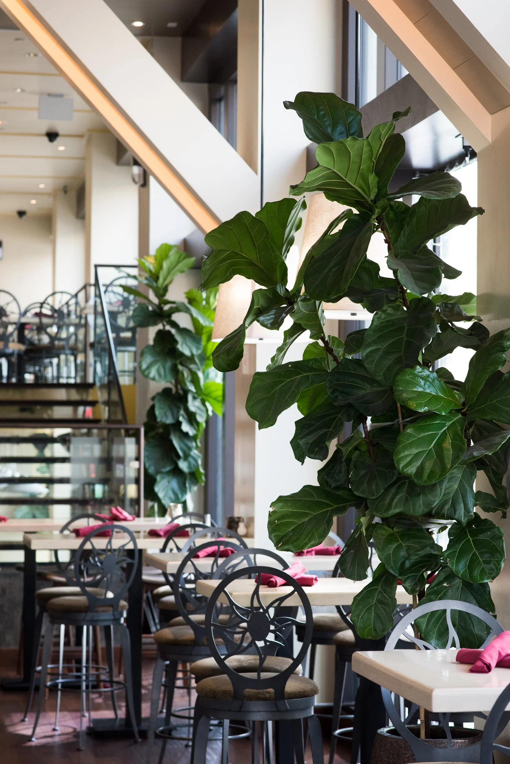 Soul_ Hollywood-Blvd_Interior_03.jpg