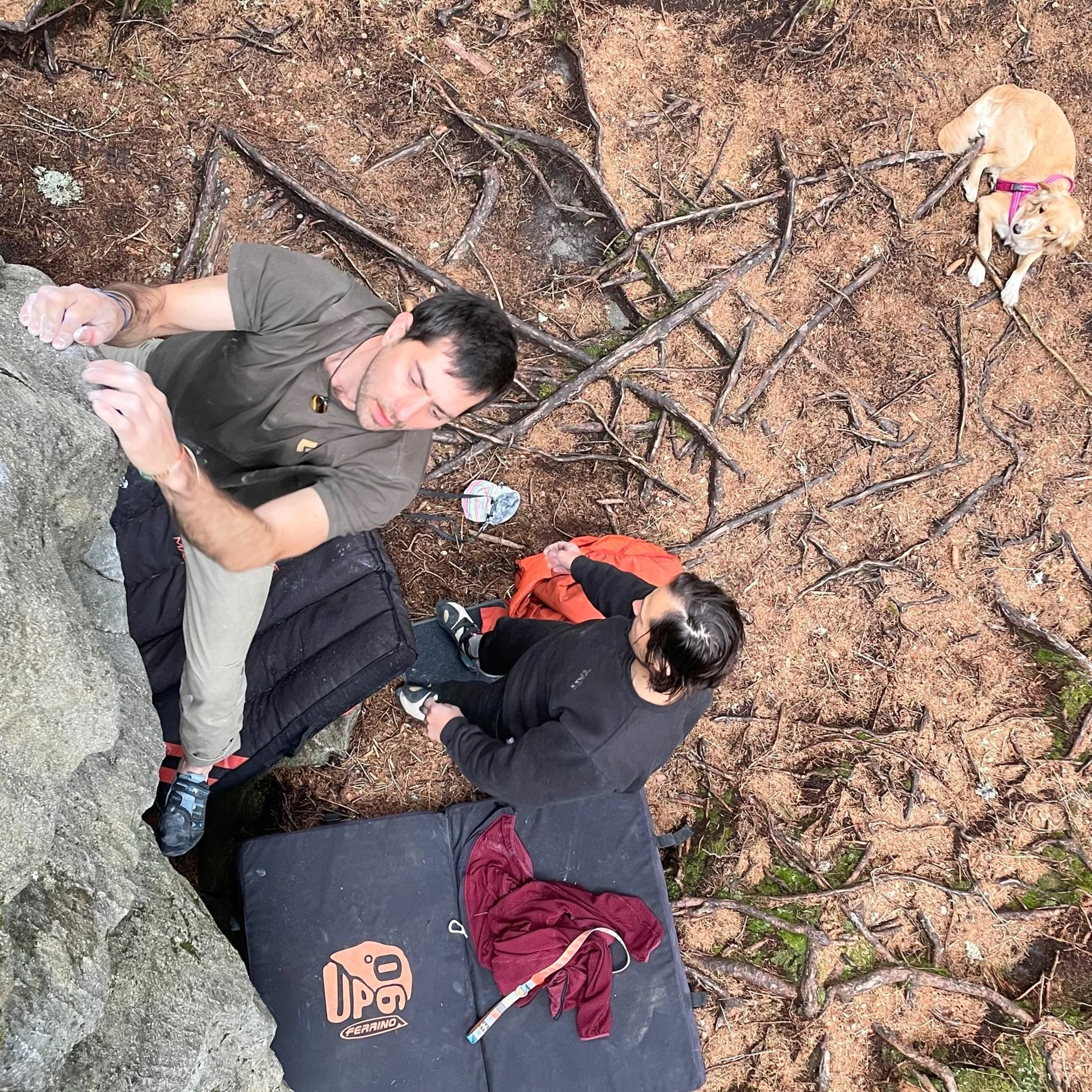 Grades and Difficulty at Magic Wood: From V Fun to 8C