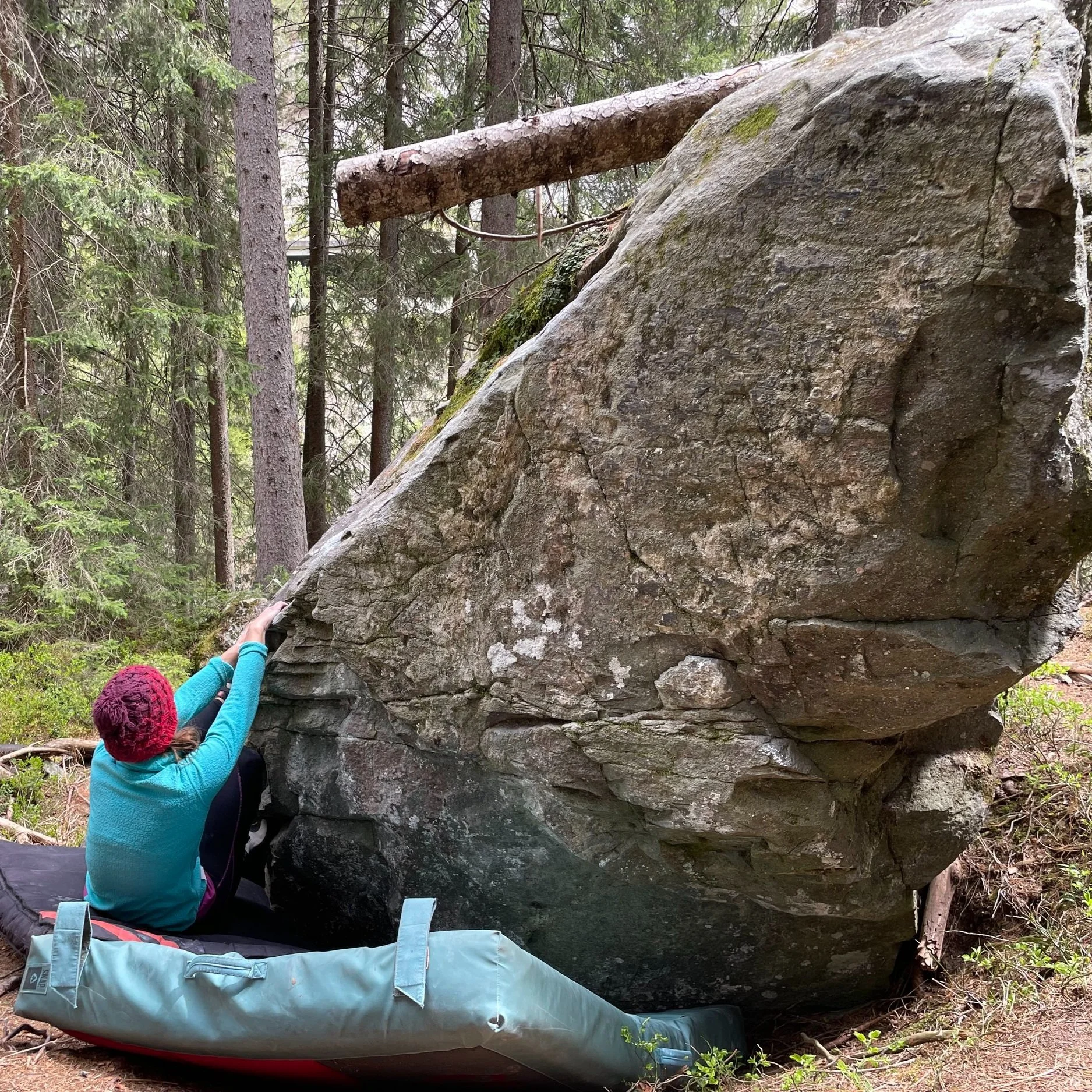 Magic Wood: Guide to Switzerland's Most Magical Bouldering Destination