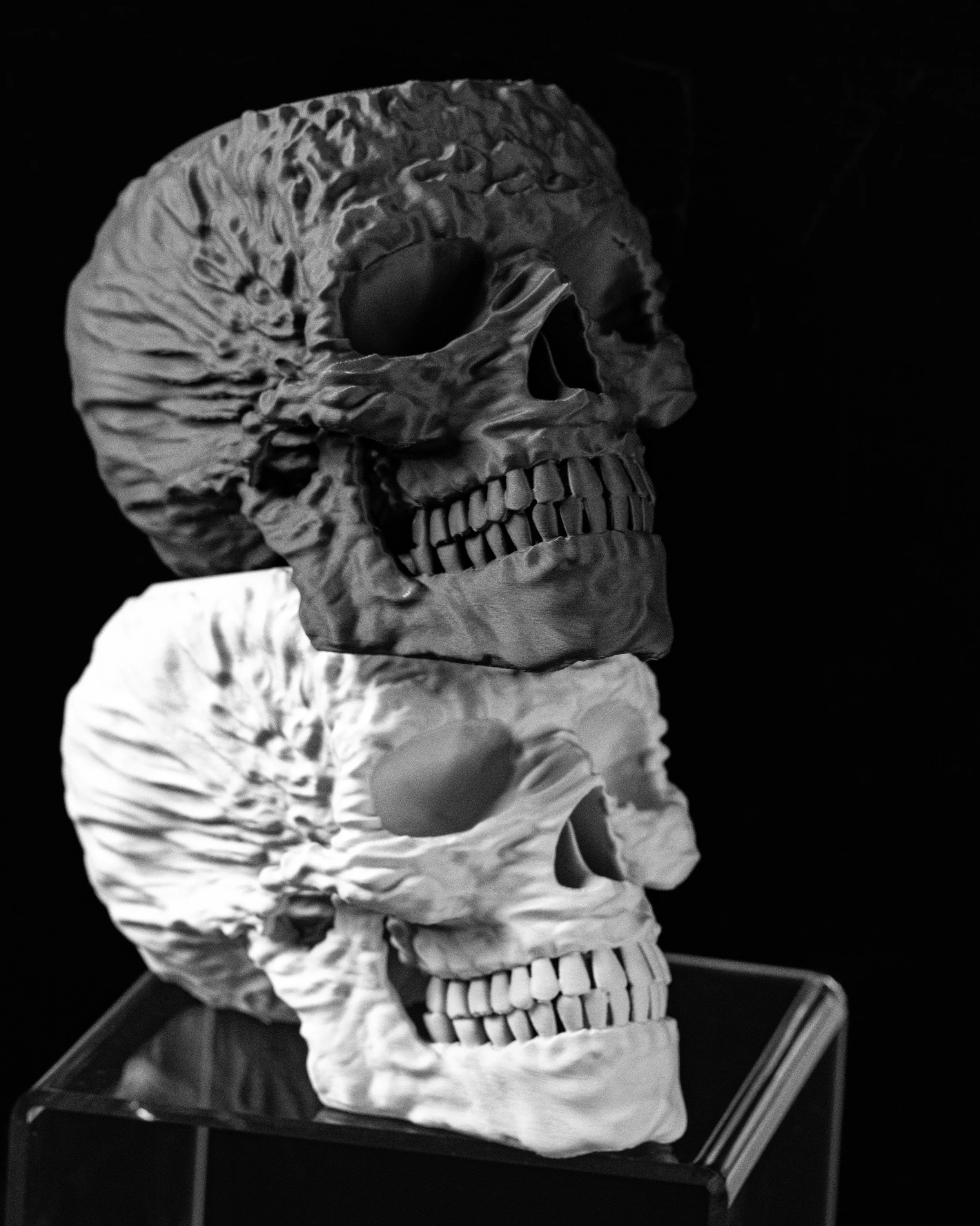 DSC01108-1.jpg