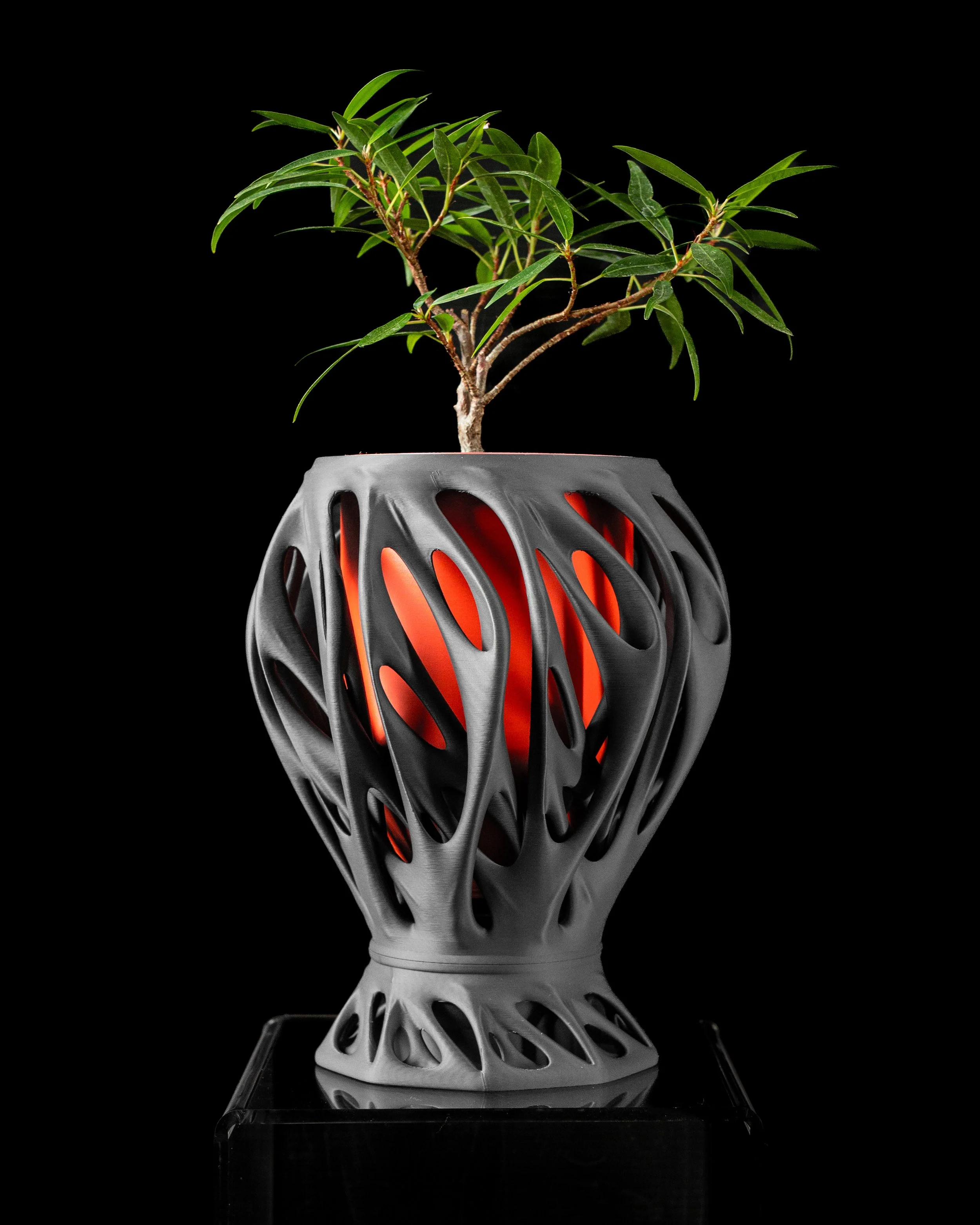 Mantis Planter