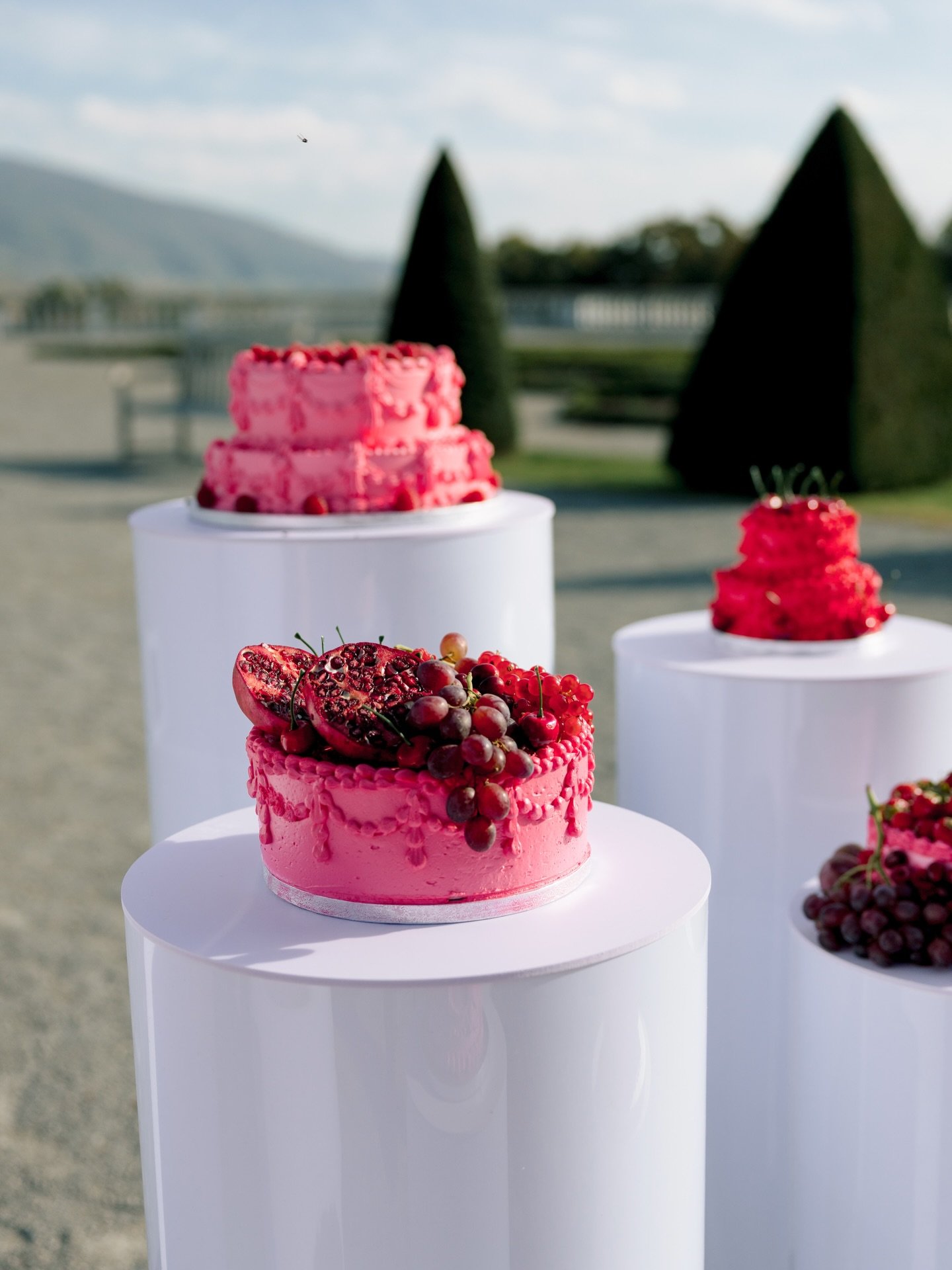 Why settle for one cake when you can have eight? 😍💗
Your wedding, your rules. 💪🏽
You&rsquo;re allowed to think out of the box and I&rsquo;m the one who will help you make it happen.🤍

If you also want an wedding like this send me a Dm

Wedding P