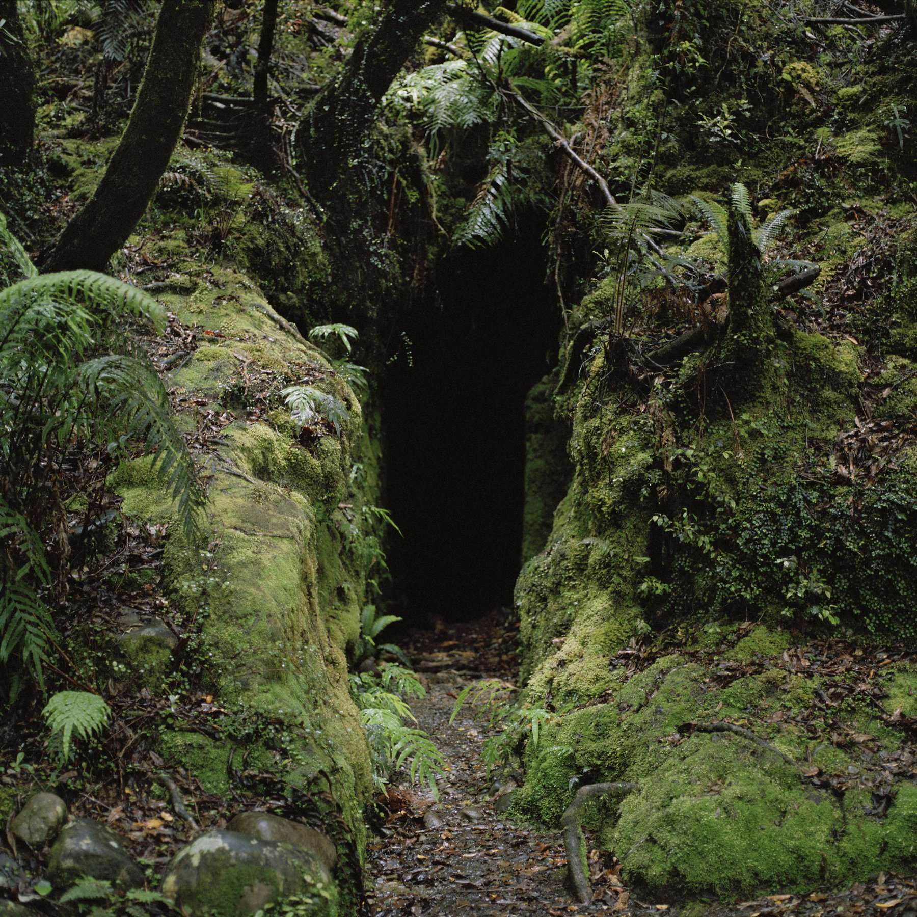 Homewardbounder - Exhibition catalogue