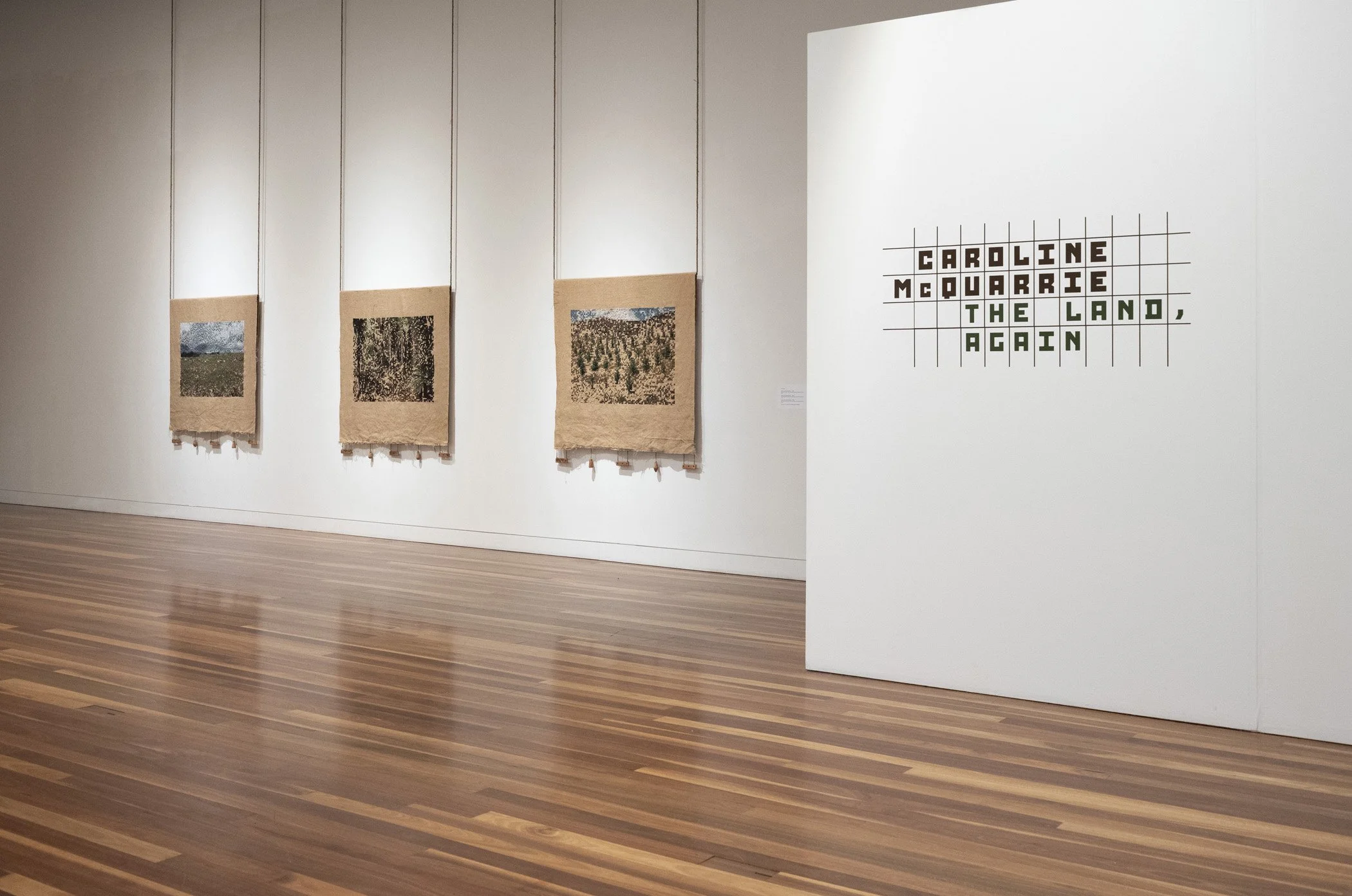 'The land, again' installation view. Aratoi Wairarapa Museum of Art and History. 
Photo: Shaun Matthews.