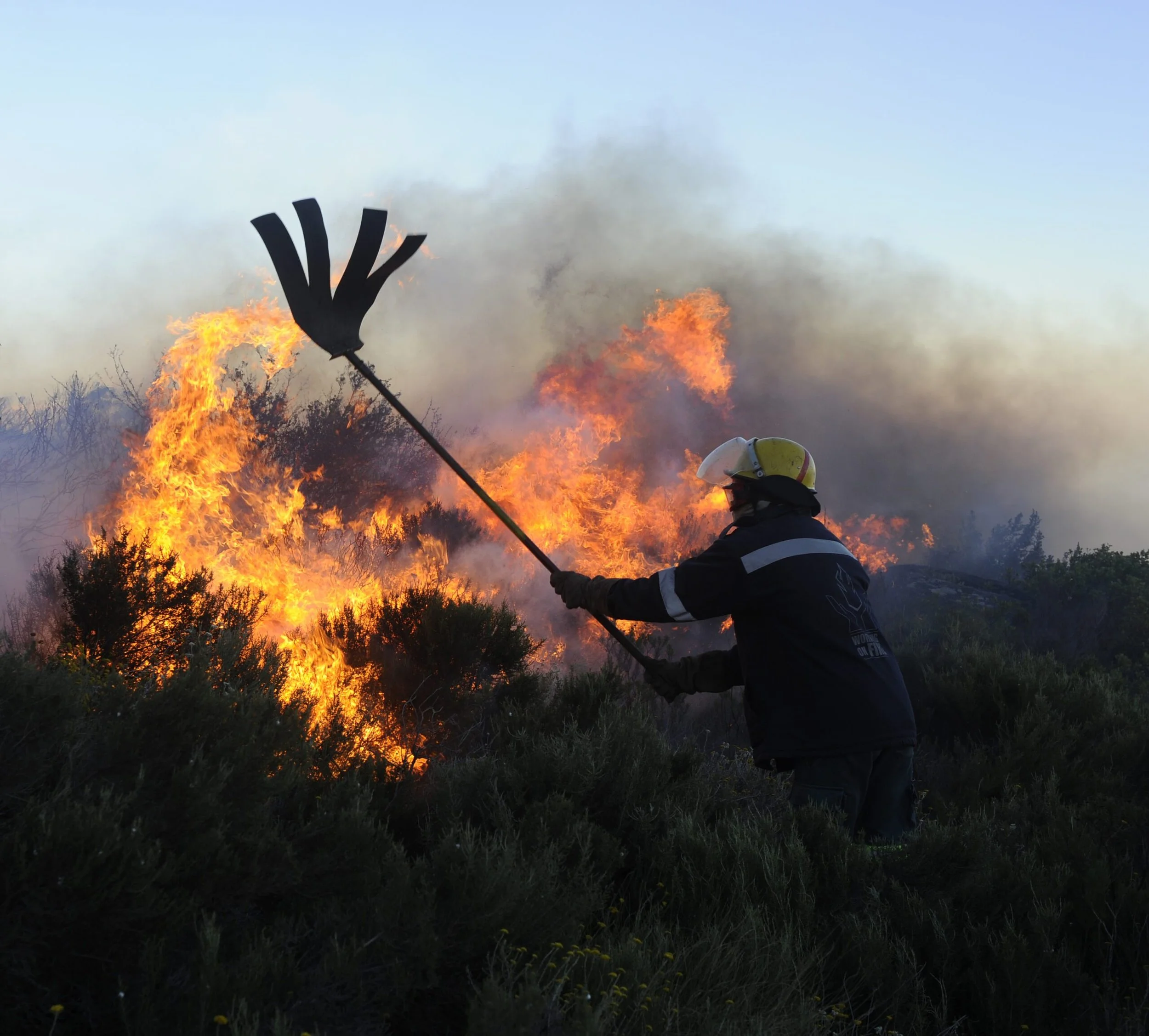 A firefighter wearing protective gear and helmet using a tool to control a wildfire burning through bushes and dry vegetation in an outdoor setting with a light sky.