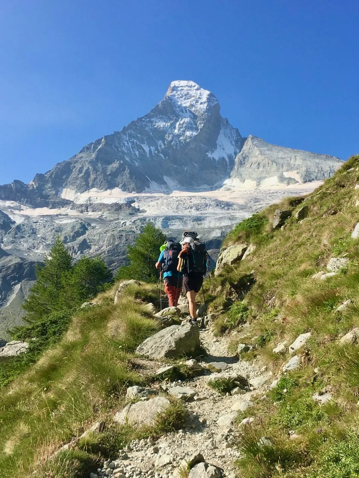 🌿 Randonnées guidées