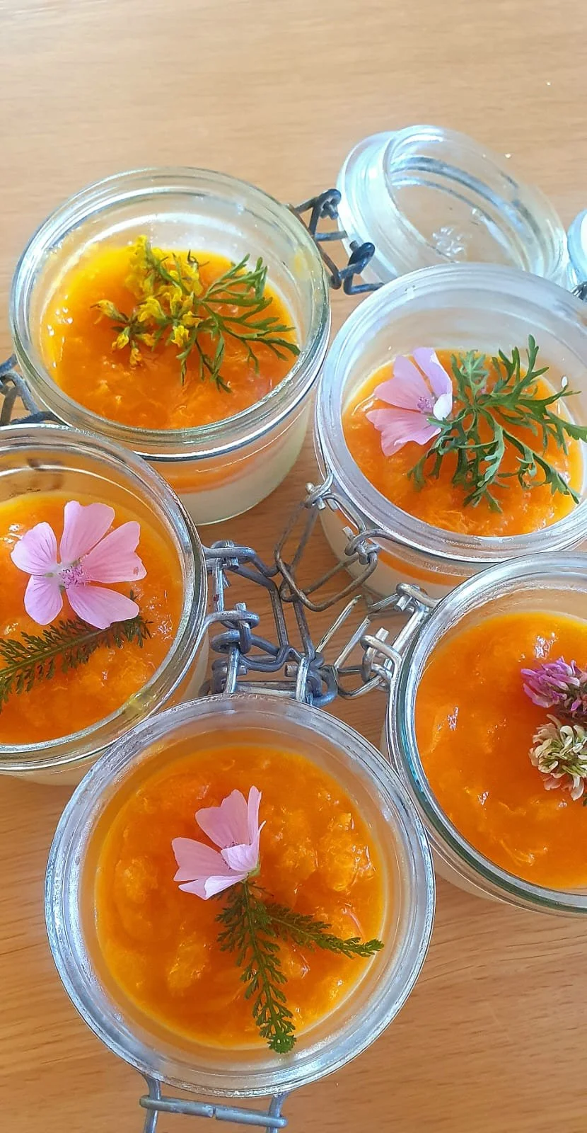 Merci Erica pour les belles photos!