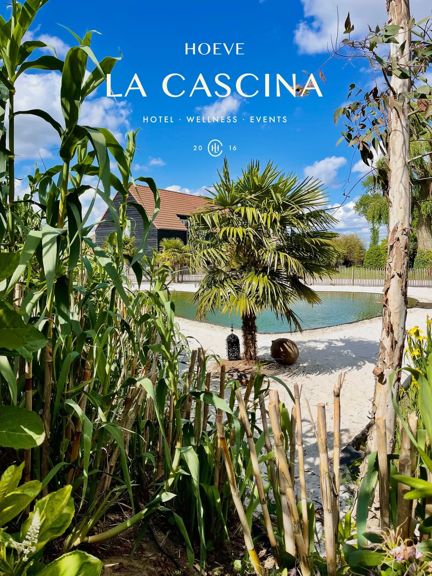 Swipe&hellip;⬅️ A place for LOVE &amp; SURPRISE&hellip;