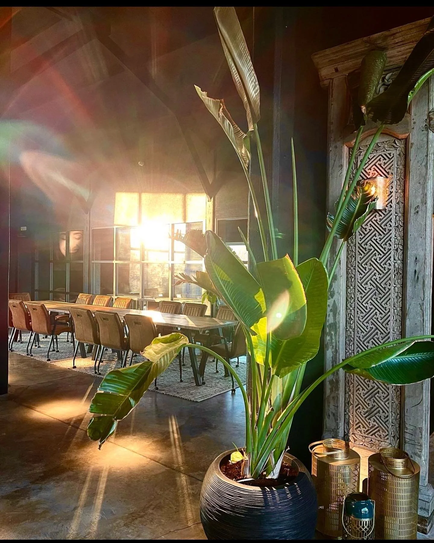 Hoeve La Cascina - Home - Header 7.jpg