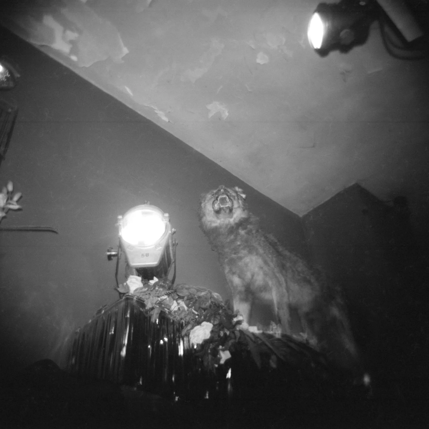 Film_Noir_6.jpg