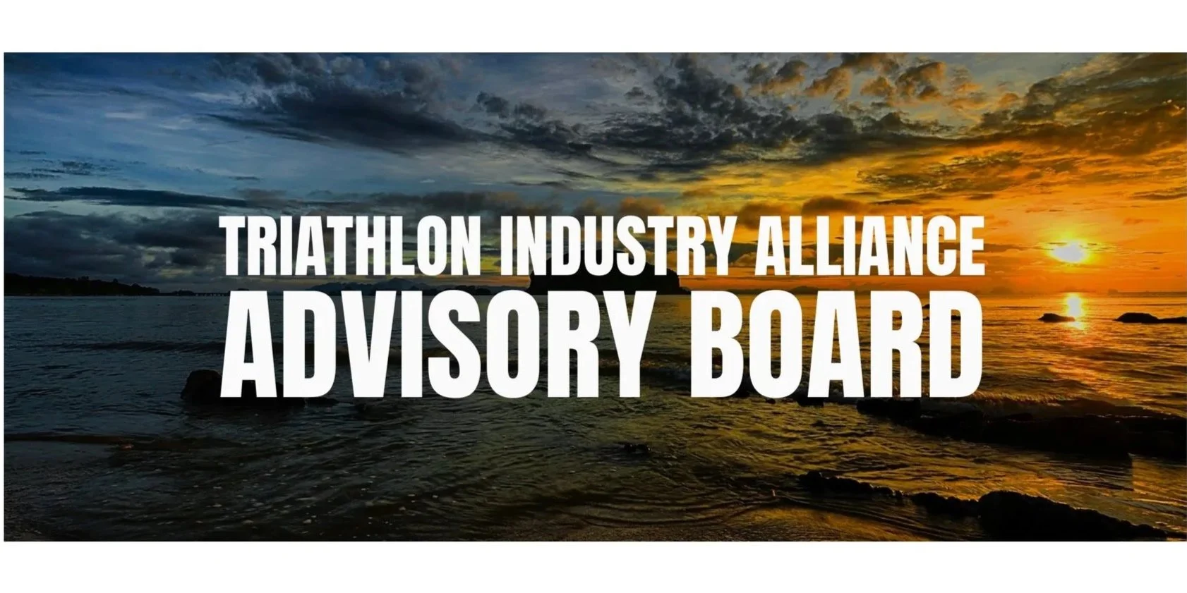 Meet the TIA Advisory Board 2026