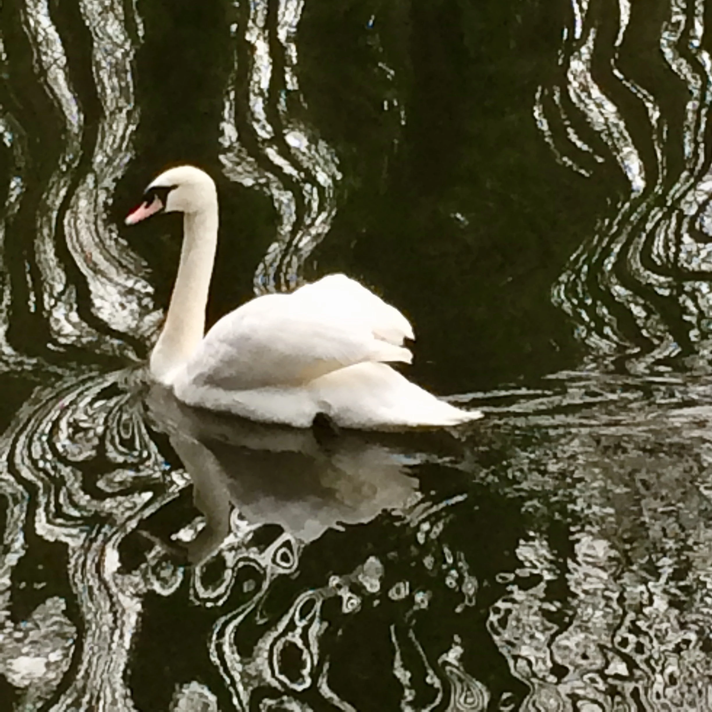 Photography,  Poetry,  Memoir,   Music,  Community, !Experiment!