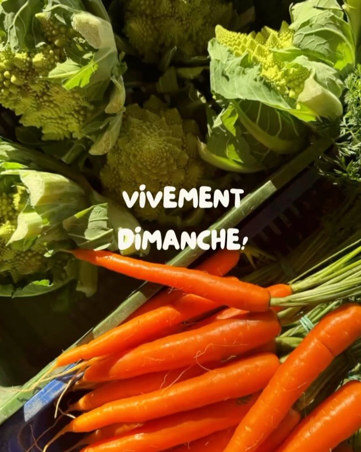 VIVEMENT DIMANCHE! 

Varie inDicembre: 
- mercato delle Cure seconda casa
- bicchiere crush del momento
- i grissini (buonissimo!) con la ricetta donata da @alfio_alfredochirizzi 
- biscottini gluten free ceci e nocciole, spolverati dall&rsquo;anno s
