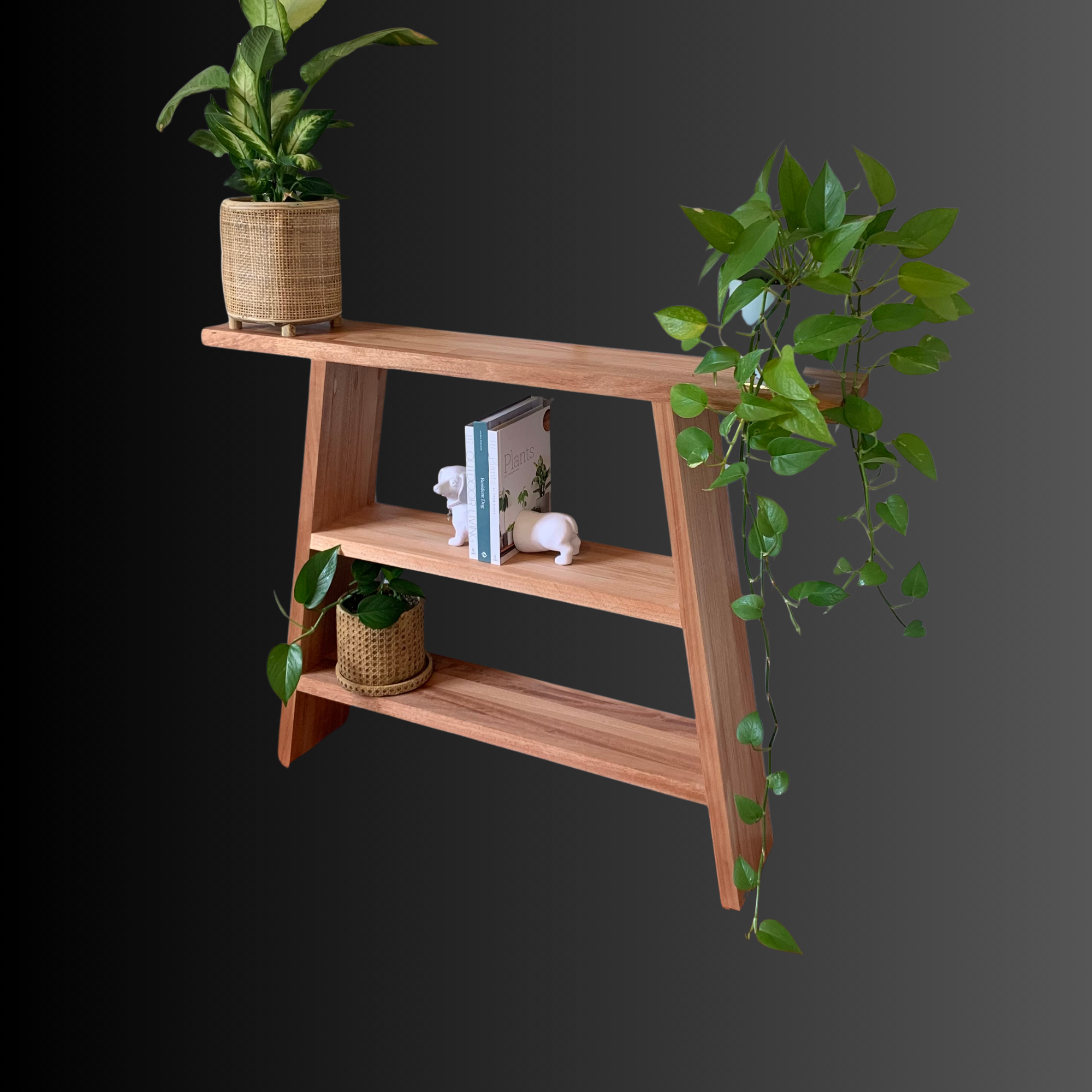 Wooden bookshelf with potted plants, books, and decorative items against a gray background.