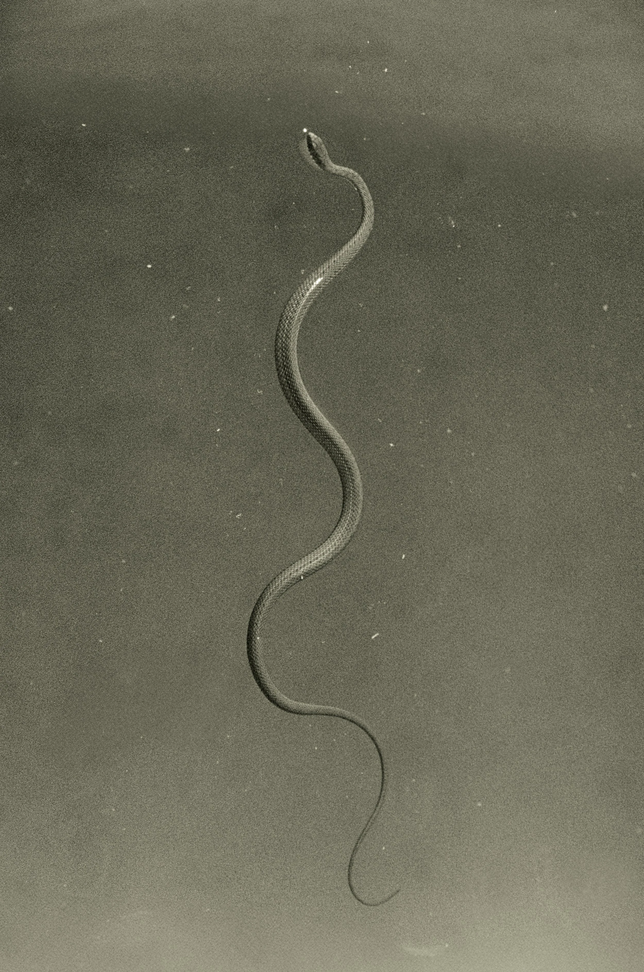 Scan10625-2.jpg