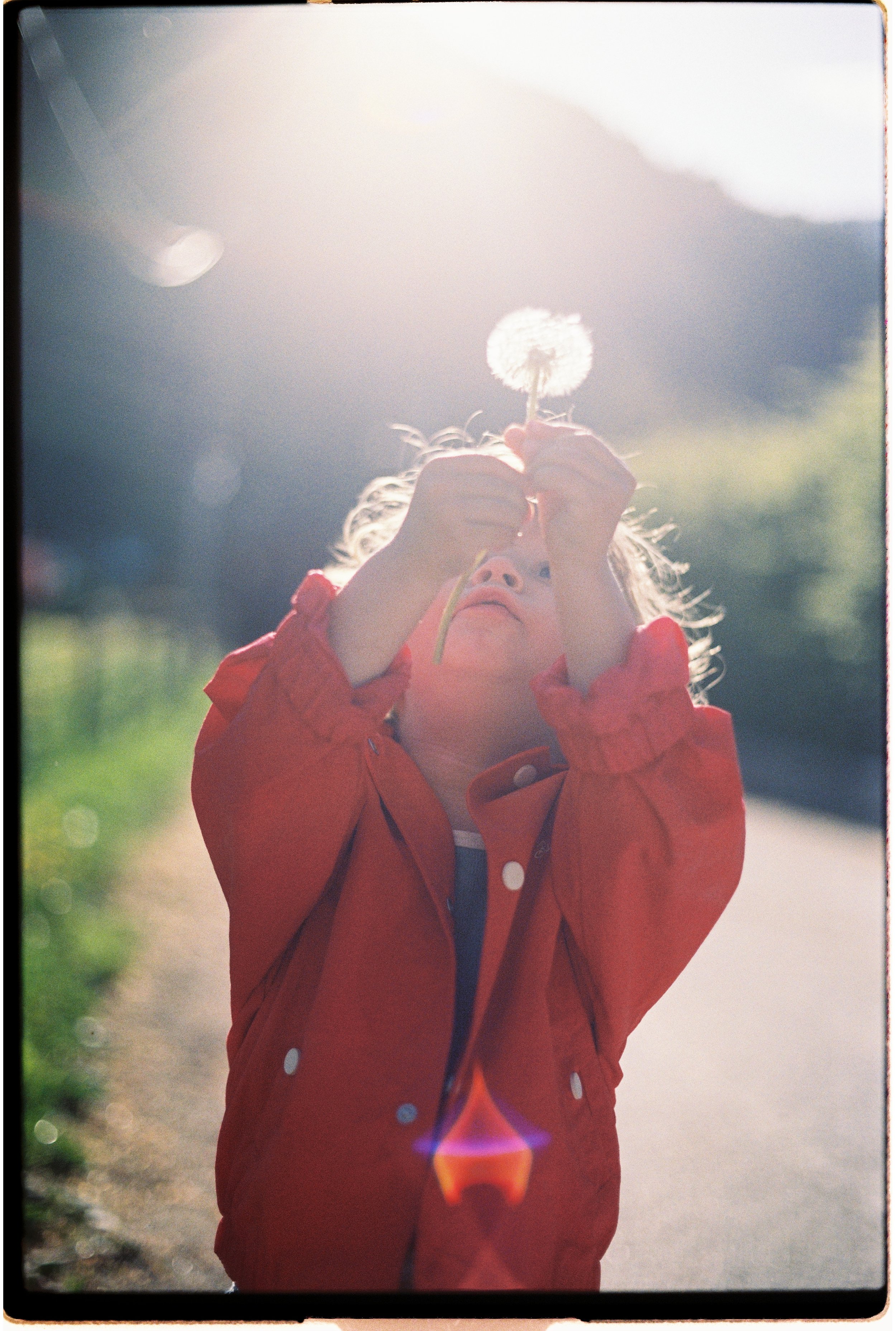 Un enfant portant une veste rouge t-shirt blanc, tenant un pissenlit en mains, regardant vers le haut avec le soleil en arrière-plan.