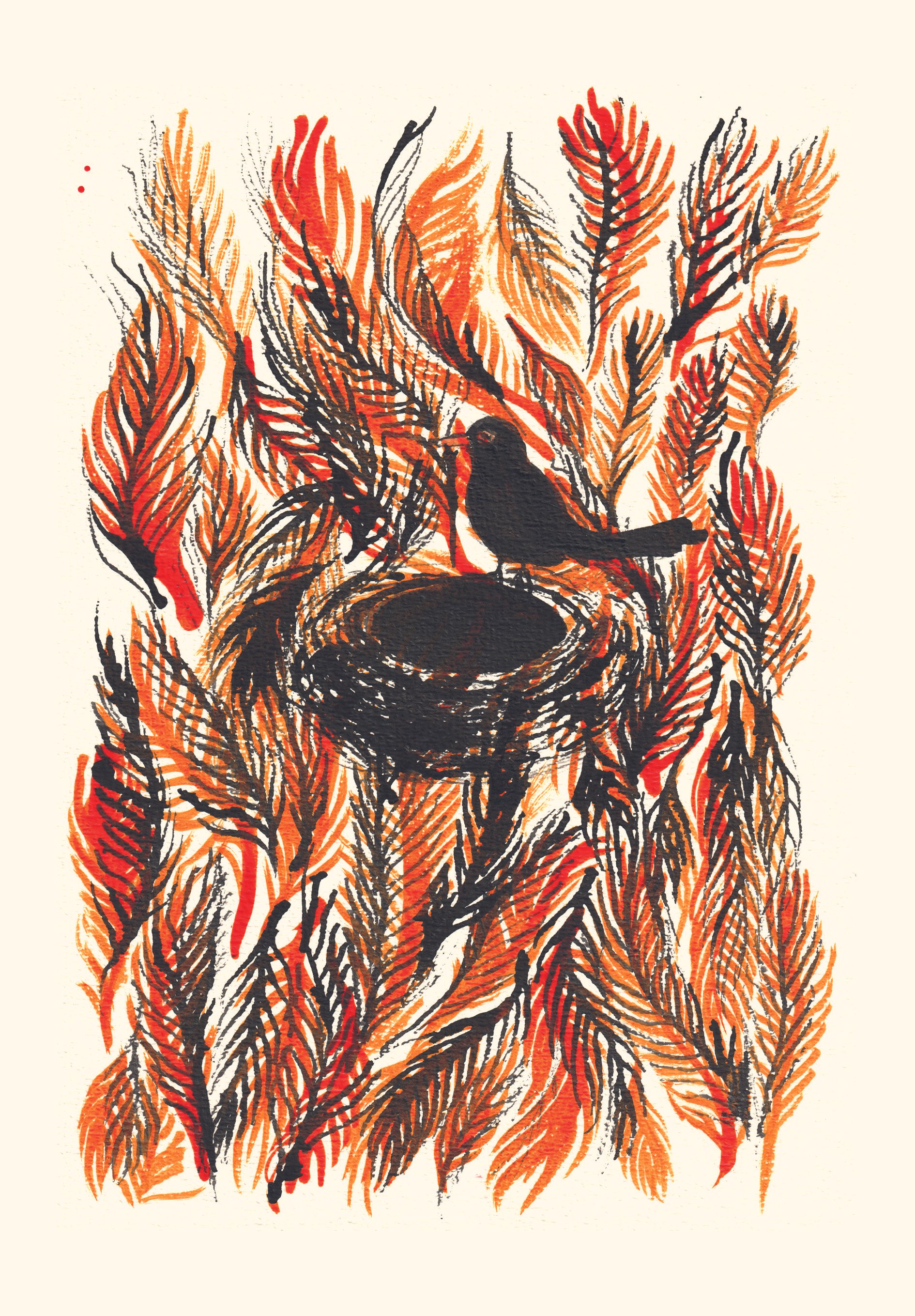 Illustration de plumes d'oiseaux dans des couleurs orange, rouge, noir et beige avec un oiseau noir au centre, stylisé, avec des détails de texture.