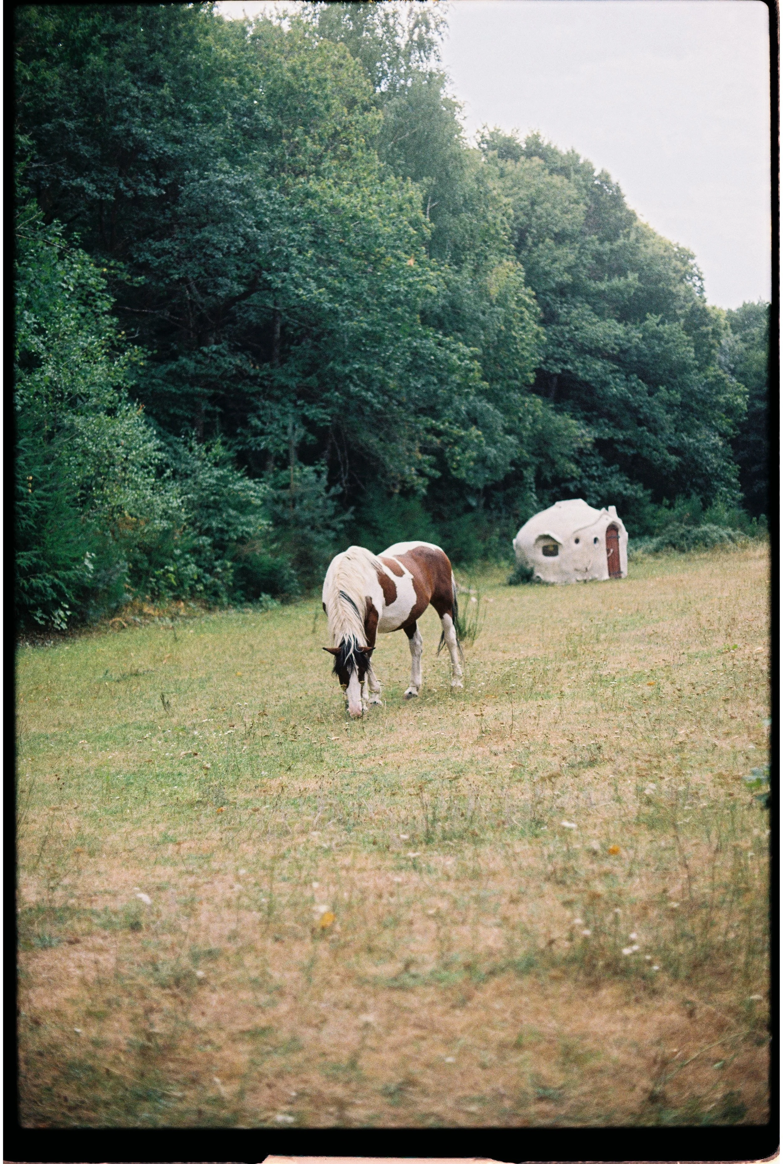 LILODAHU-17.jpg