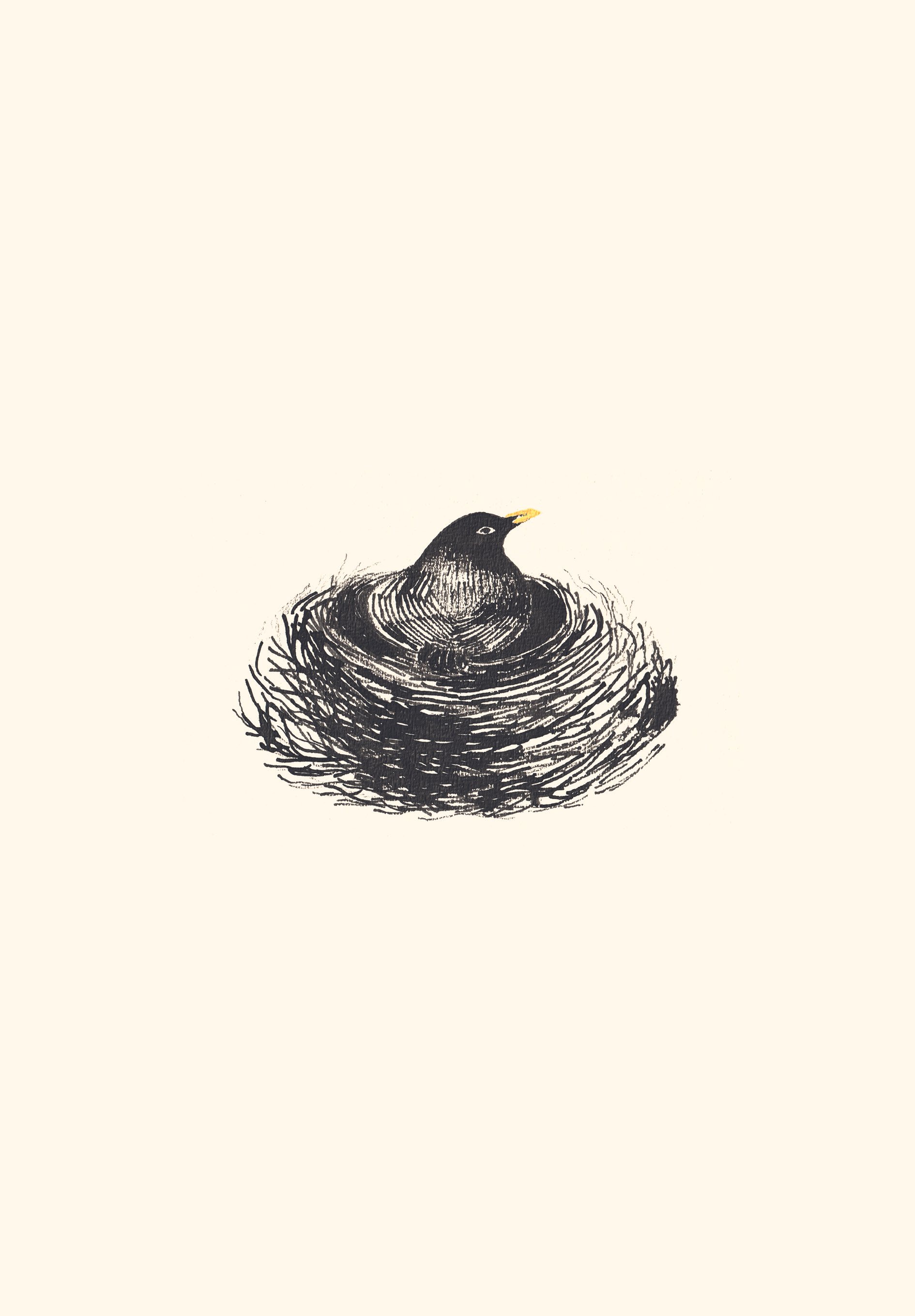 Illustration d'un oiseau noir perché dans un nid fait d'herbes et de branches, sur un fond clair