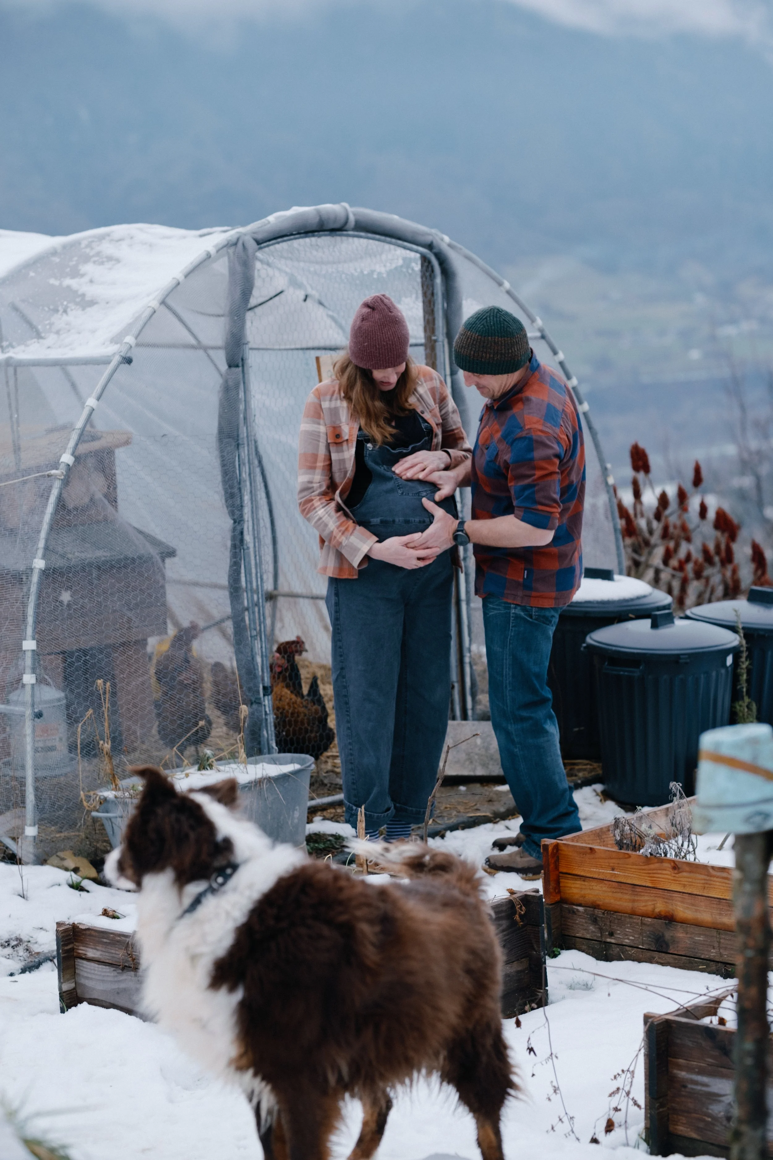 Une femme enceinte et un homme regardent leur ventre dans un jardin extérieur avec des chiens de compagnie et une serre en arrière-plan, en hiver.