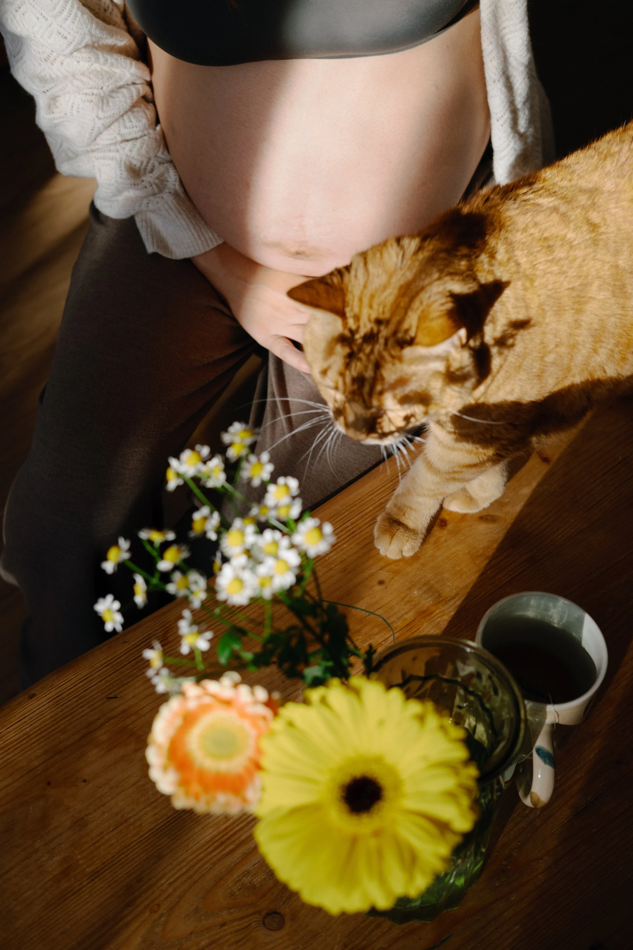 Une table en bois avec un vase contenant des fleurs colorées, une tasse blanche, un mug et un pot de fleurs, avec un chat géant. 