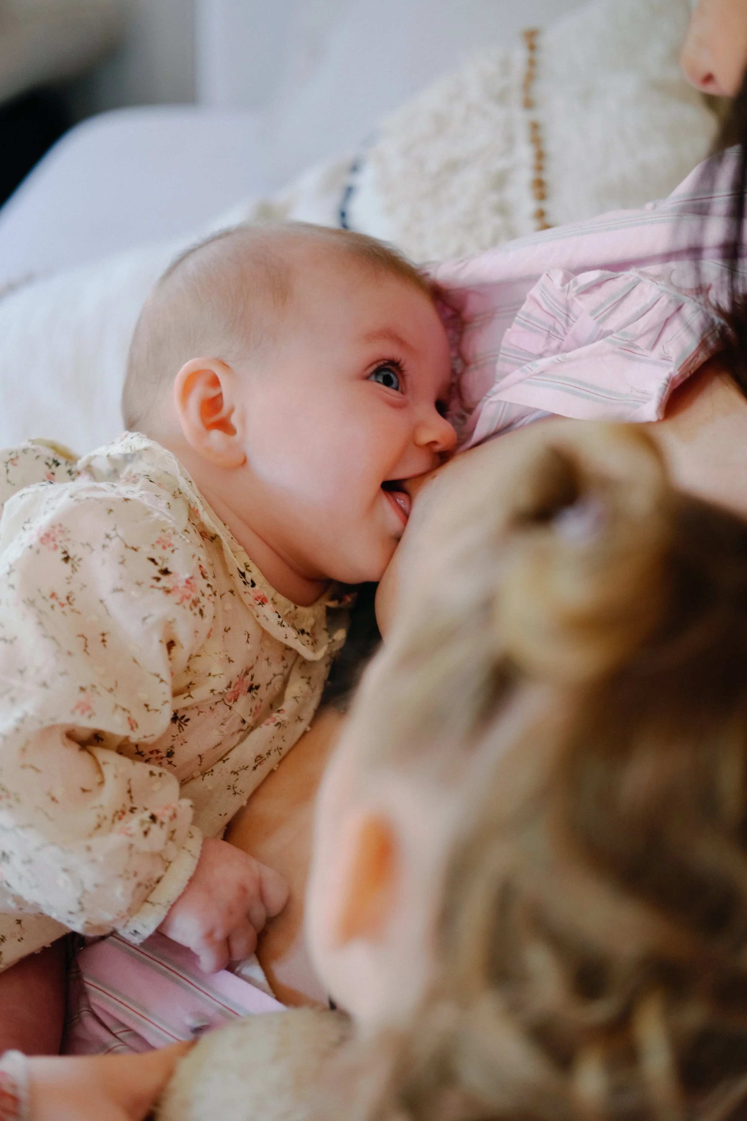 Un bébé en couche, avec des cheveux courts, en train de téter une personne dont on voit à peine une partie du visage et du bras. La scène se passe probablement dans un intérieur domestique.