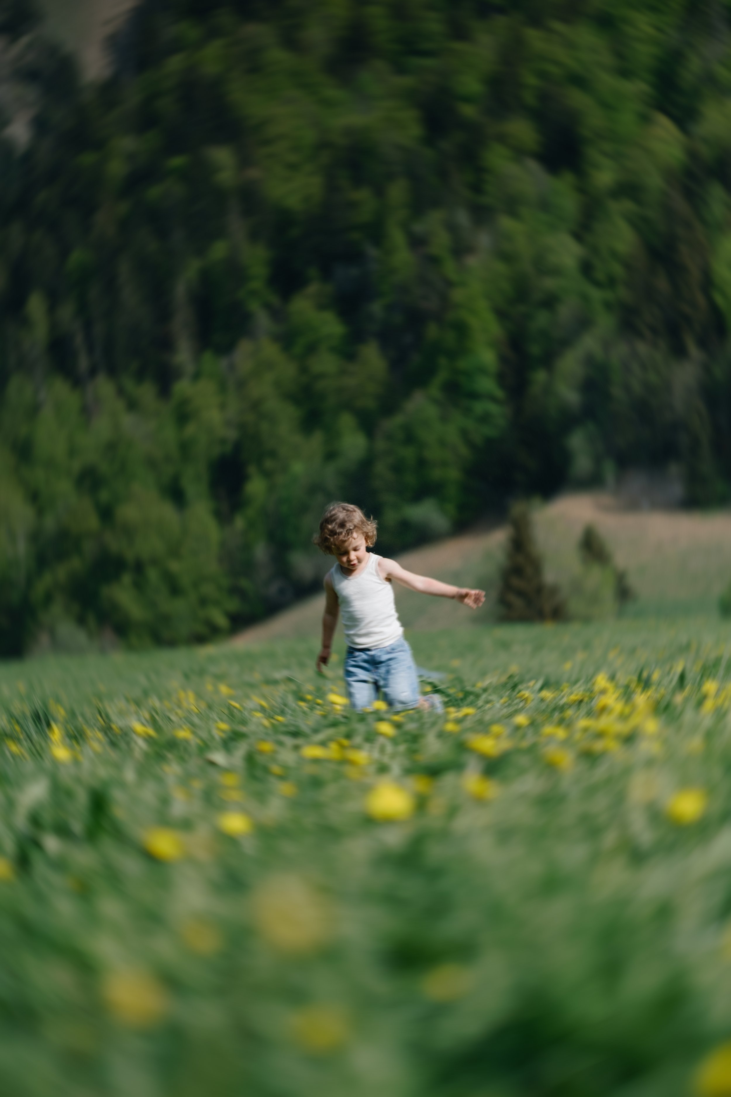 Un enfant qui court dans un champ de fleurs jaunes, avec une forêt en arrière-plan par une journée ensoleillée.