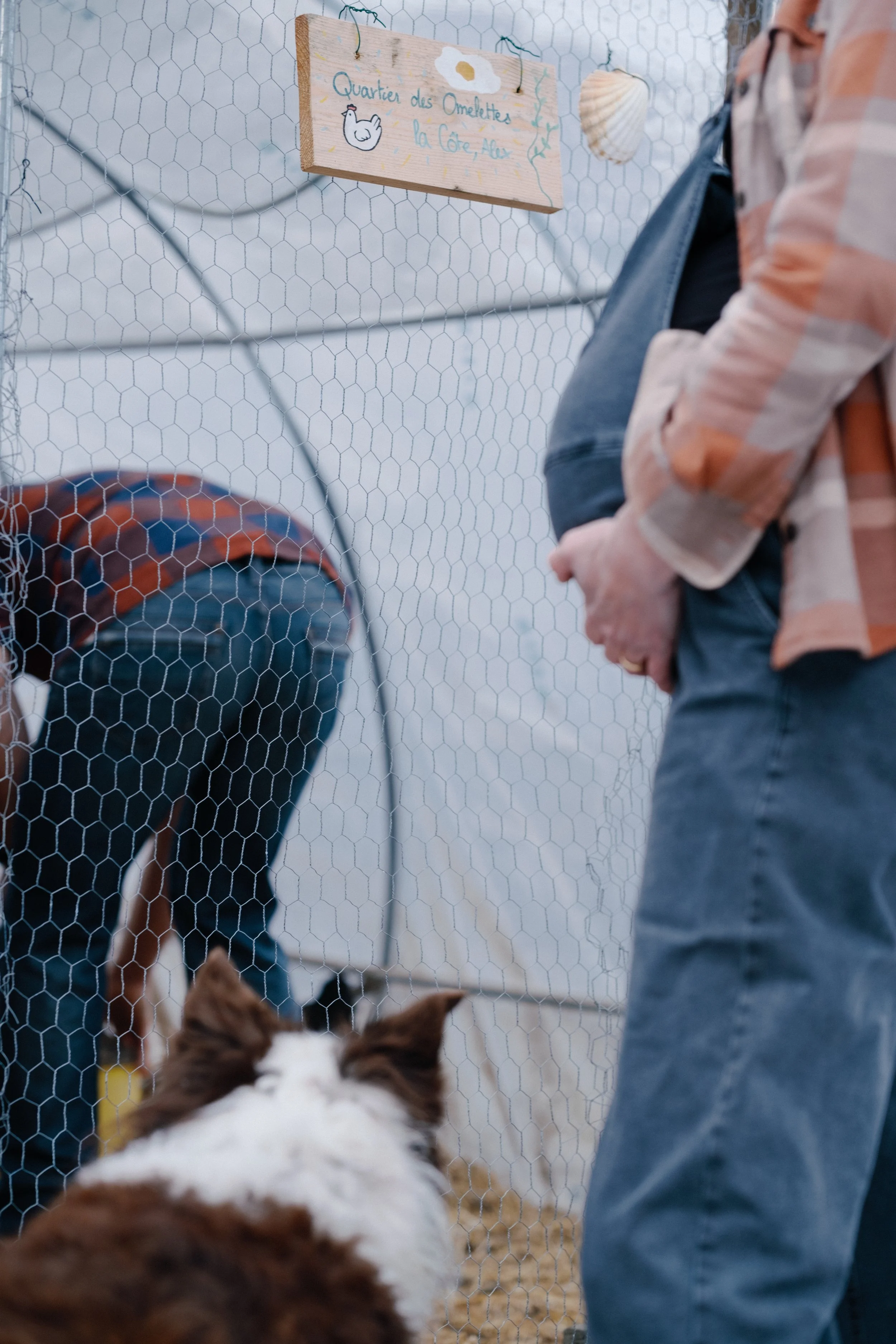Une personne en veston à carreaux qui se tient à côté d'une clôture en fil de fer, regardant un chien de race Border Collie à l'intérieur de l'enclos. Dans l'enclos, il y a une autre personne qui se baisse, portant un pantalon à carreaux, avec une ch